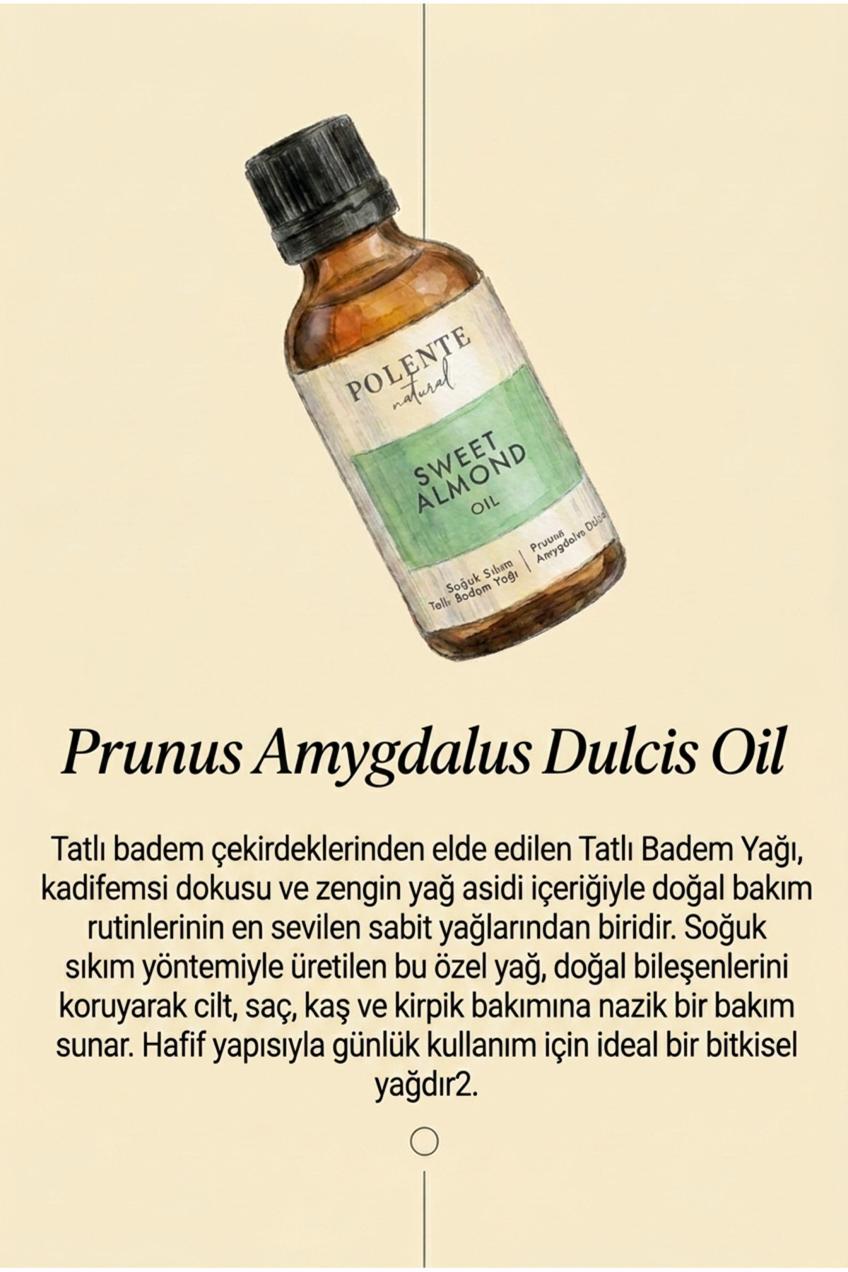 Tatlı Badem Yağı - Soğuk Sıkım (50 ml) — Prunus Amygdalus Dulcis Oil — تصویر 3 از 5