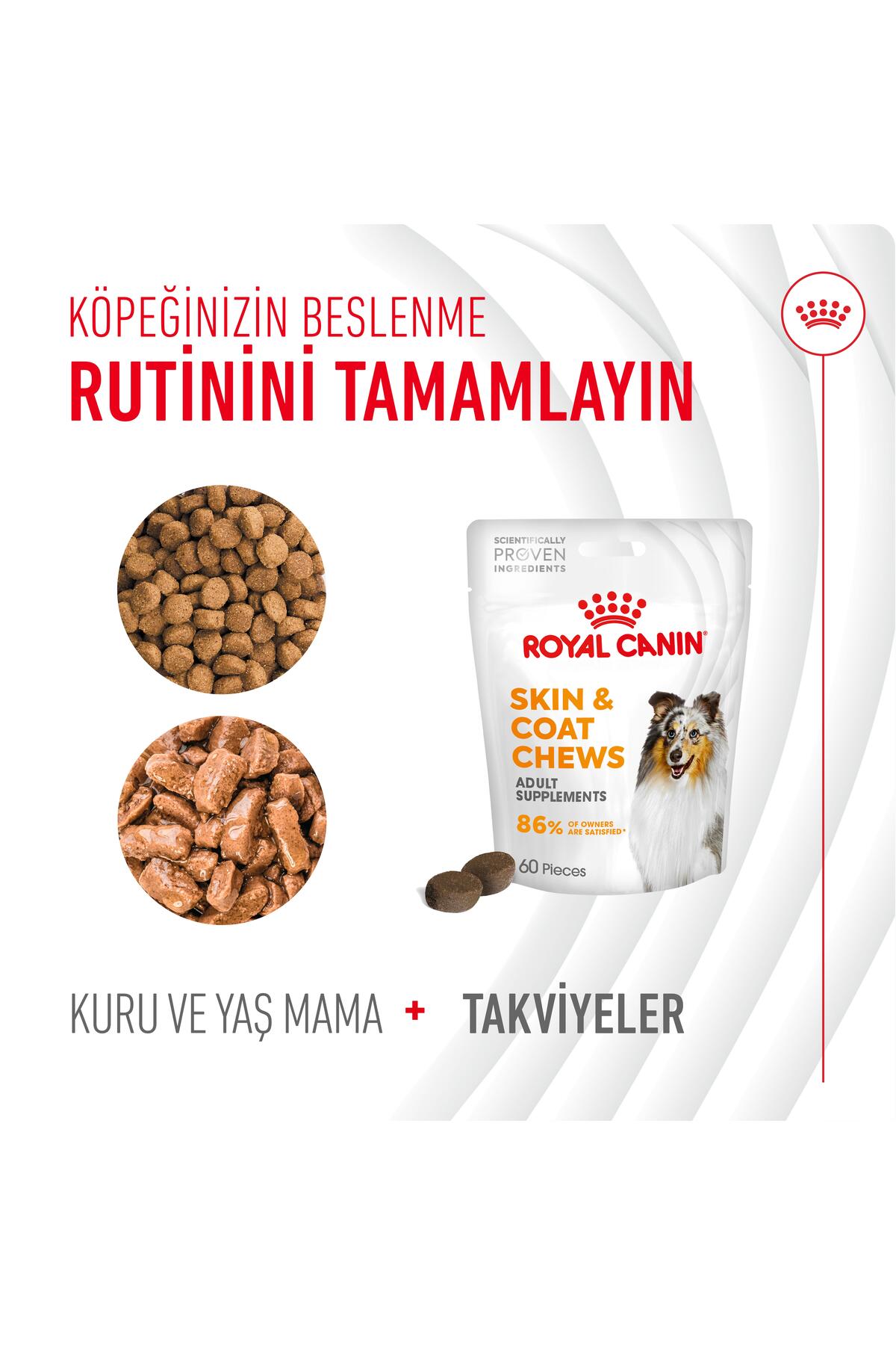 Skin&Coat Chews - مکمل تشویقی سگ برای حمایت از سلامت پوست و مو 240 گرم