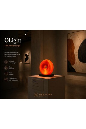 MoodDesign OLIGHT Orange Modern Decorative Glow - O ( Orange Donut) Design So...