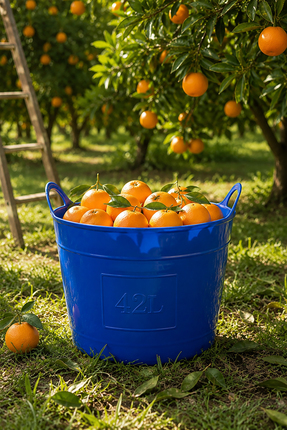 Akyüz Plastik 🧺42 Litre Esnek Plastik Hasat Sepeti 45x42 cm | Meyve, Sebze v...