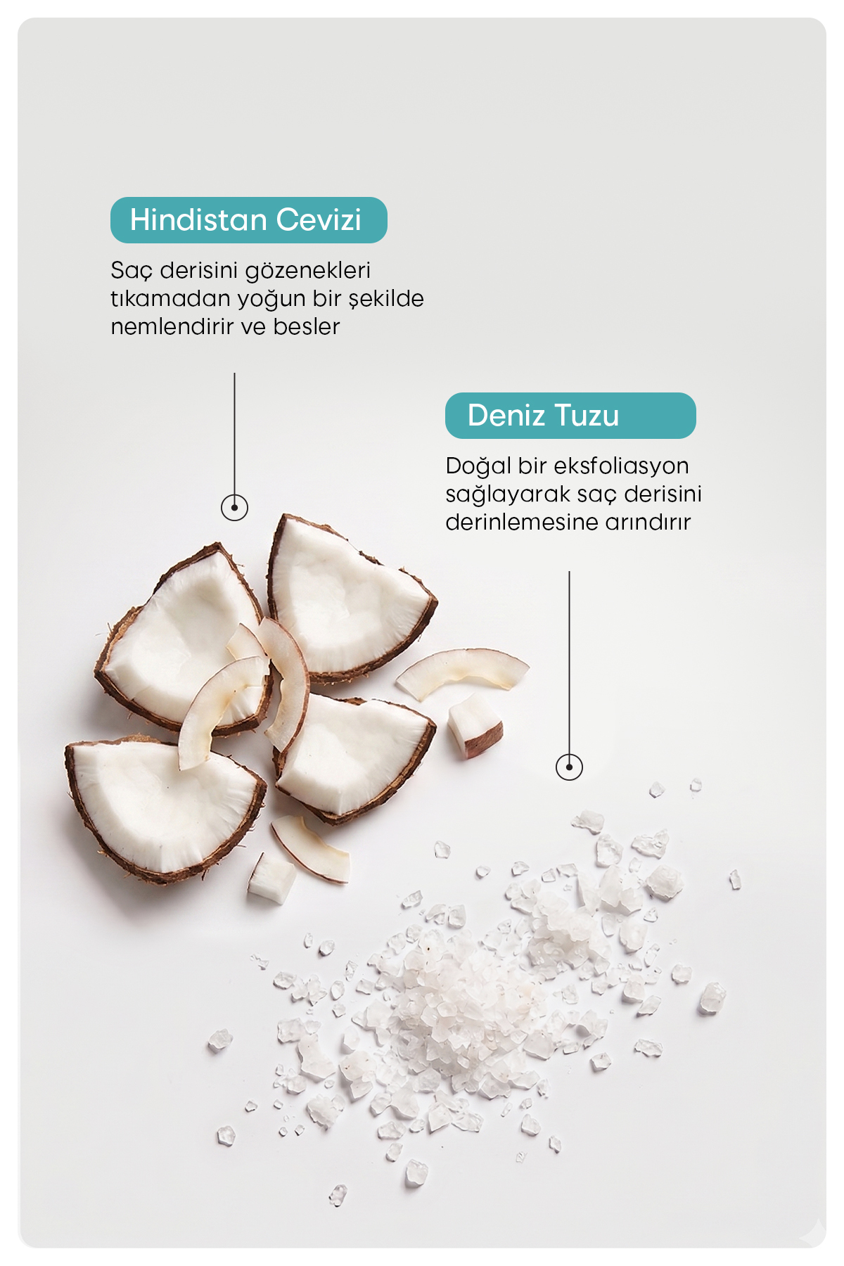 Deniz Tuzlu Saç Derisini Arındıran ve Bakım Yapan Peeling Şampuanı 300 gr — 8684790344265 — تصویر 5 از 6