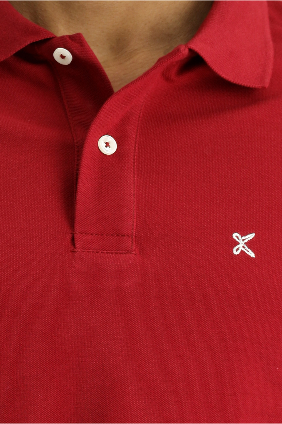 Kiğılı Polo Yaka Slim Fit Nakışlı %100 Pamuk Tişört görsel 5