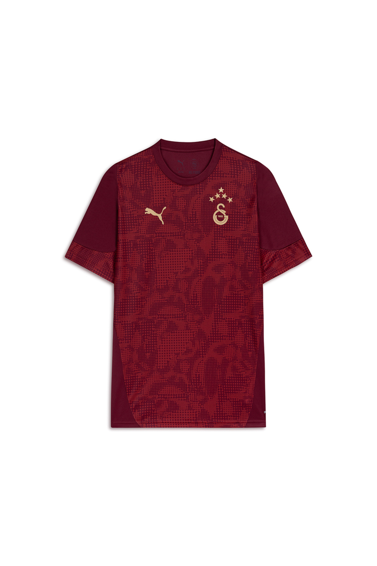 GSStore Galatasaray Puma A Takım Antrenman T-Shirt 78288403