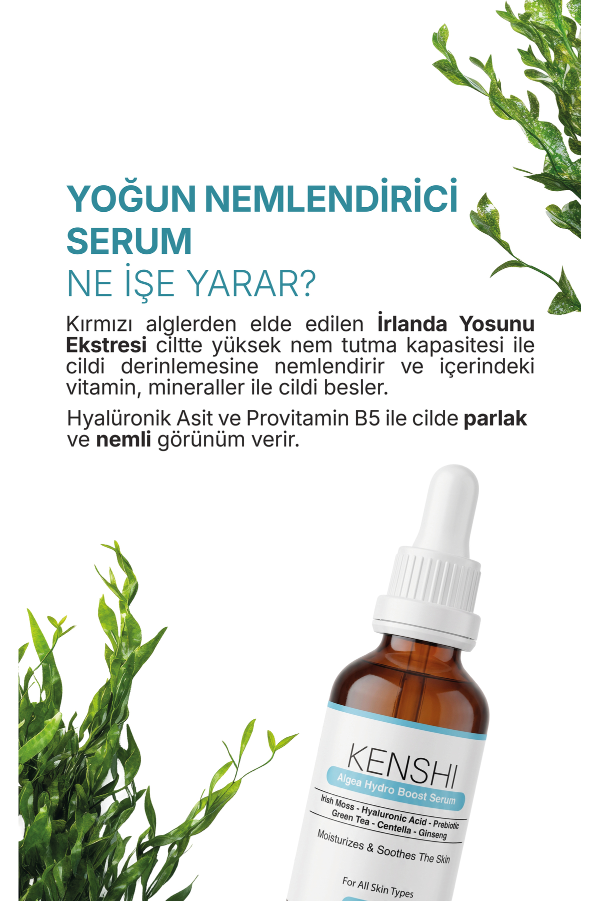 Irlanda Yosunu & Hyalüronik Asit & Yoğun Nemlendirici Ve Yatıştırıcı & Canlandırıcı Serum 30 ml — TYCYNGFJFN169199939926457 — تصویر 3 از 9