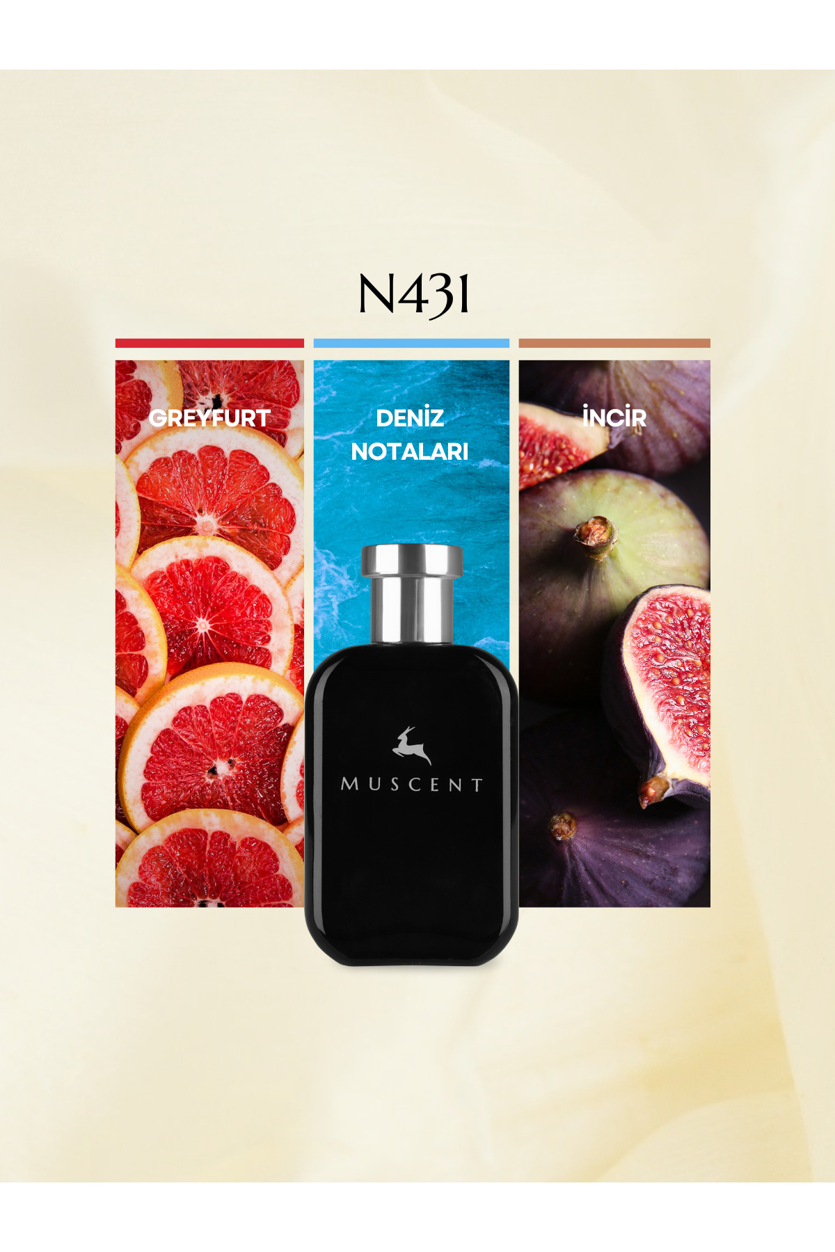 MUSCENT N431 Aqua Sixtius 50 ml. - Fiyatı, Yorumları