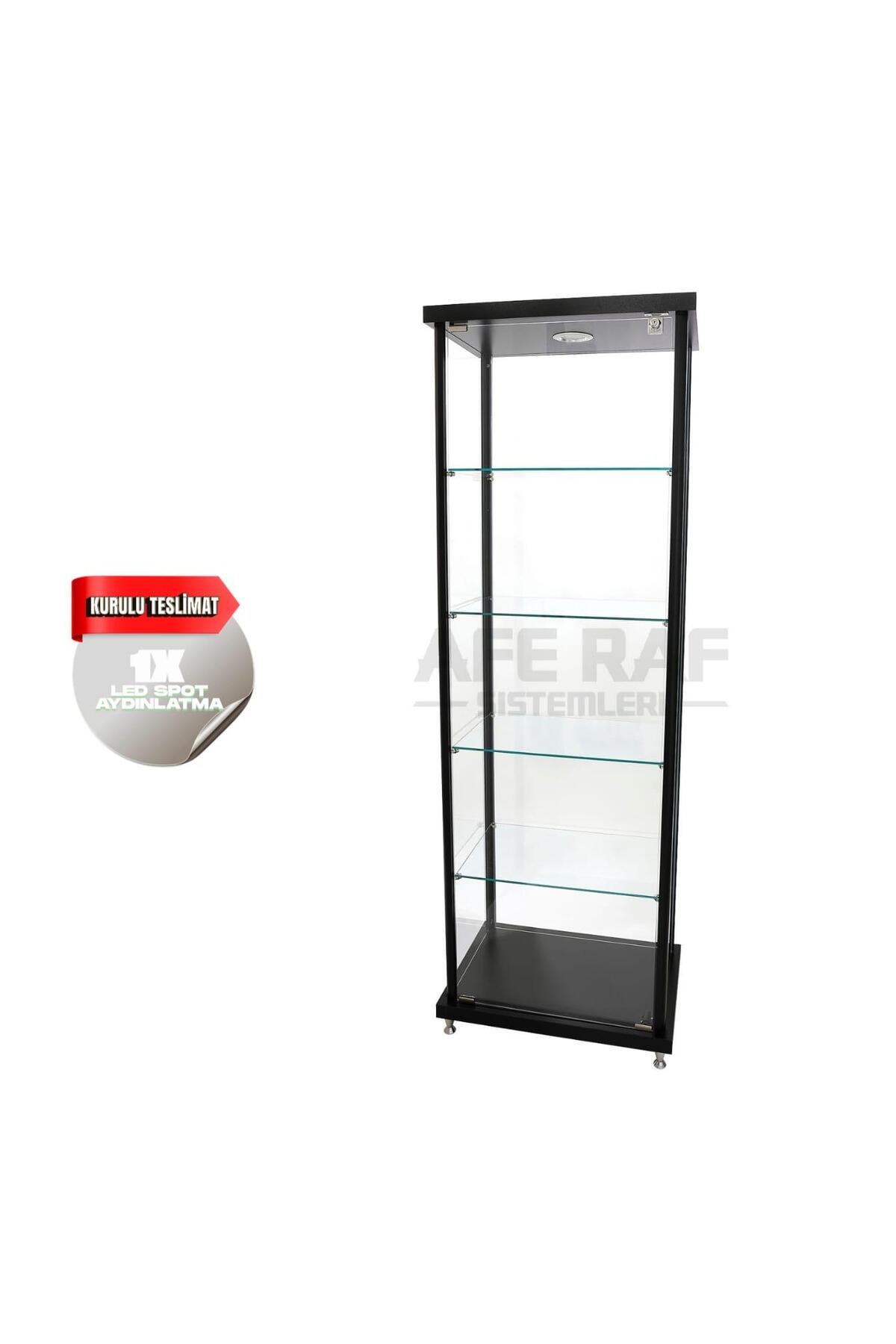 INSTALLED SHOWCASE, GLAZED SHOWCASE, COLLECTION, GLASS CABINET-30X50X175