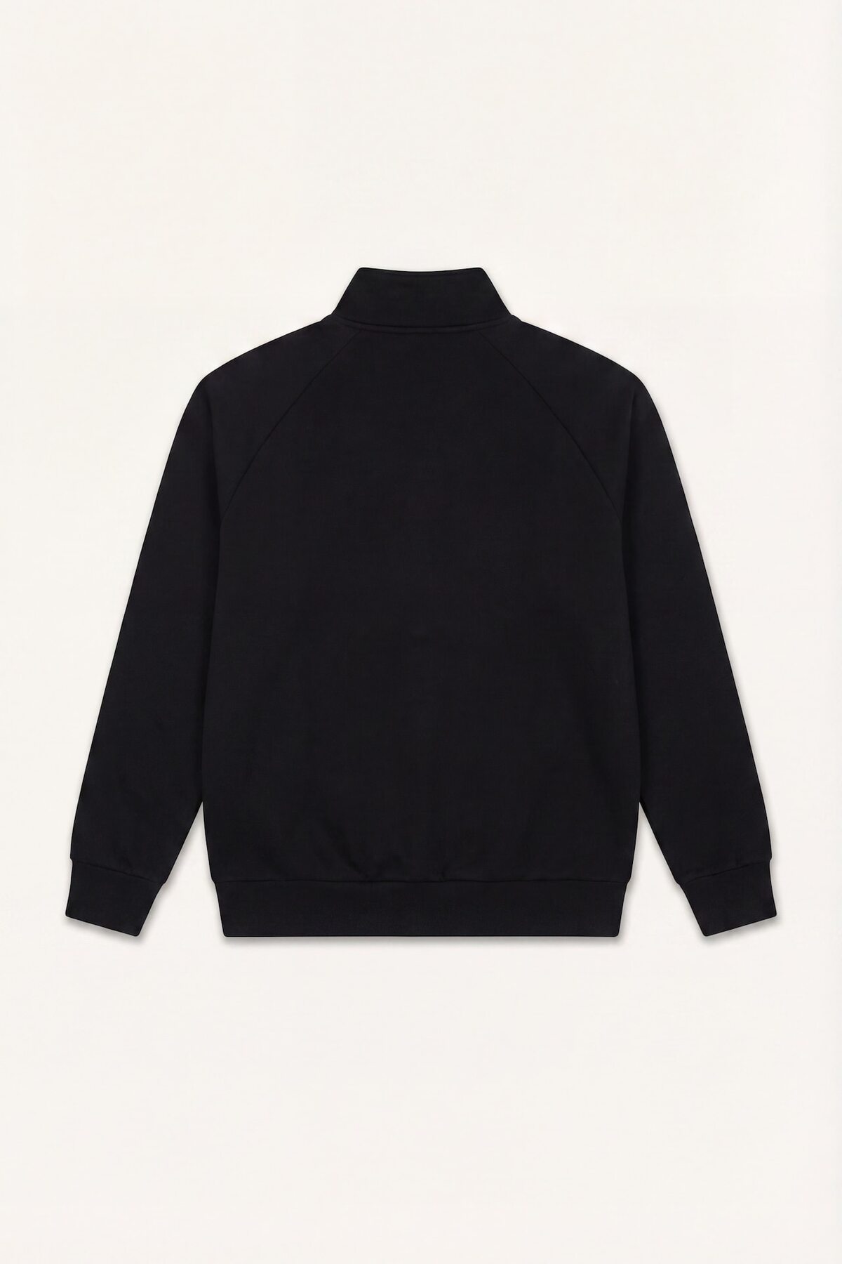 DeFacto Boxy Fit Dik Yaka Baskılı İçi Yumuşak Tüylü Cepli Fermuarlı Sweatshirt Hırka E1367AX25SP görsel 2