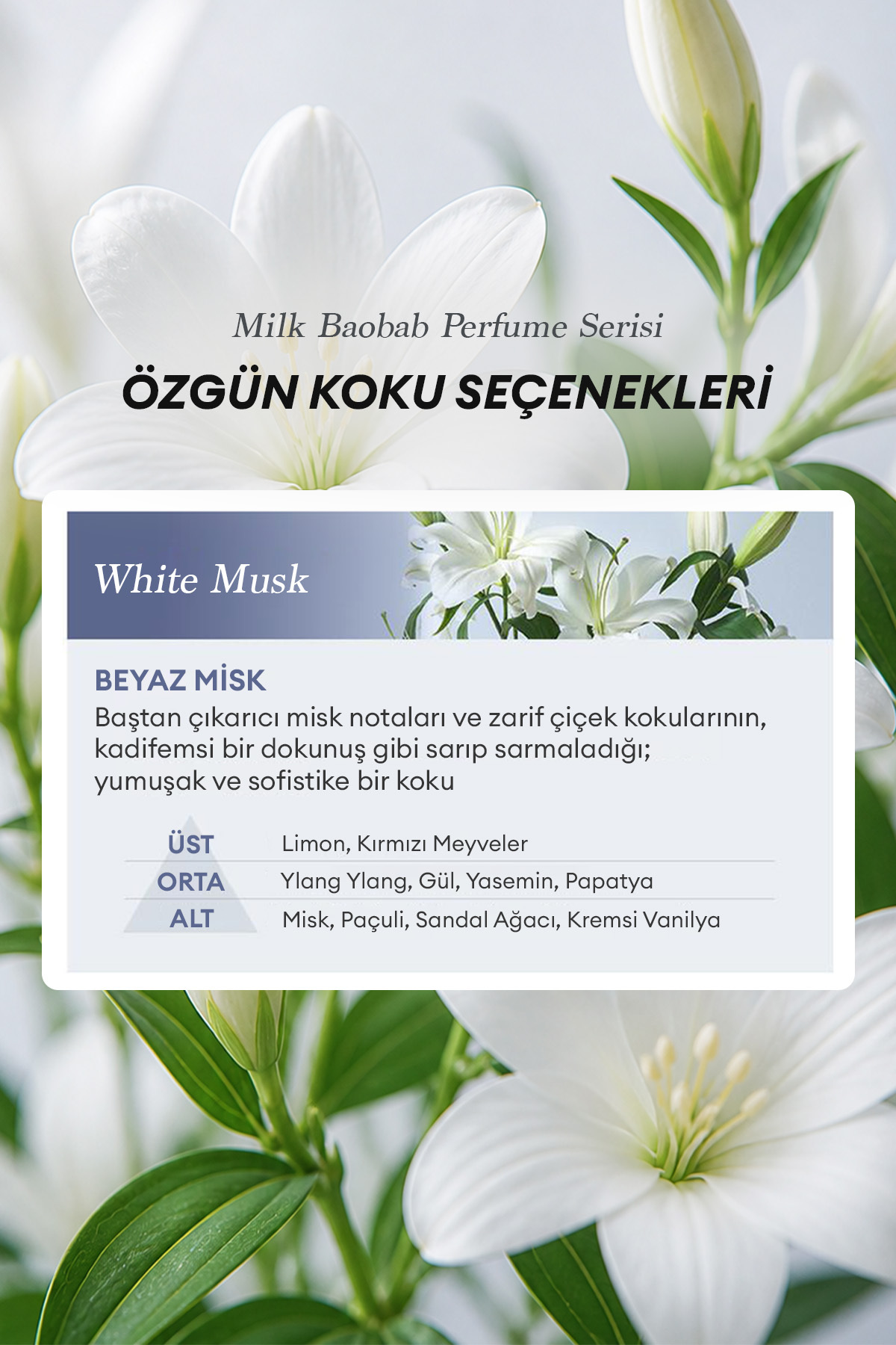 6 Hyalüronik Asitle Nemlendiren Parfümlü Vücut Losyonu Perfume Body Lotion (White Musk) — 9458 — تصویر 3 از 9
