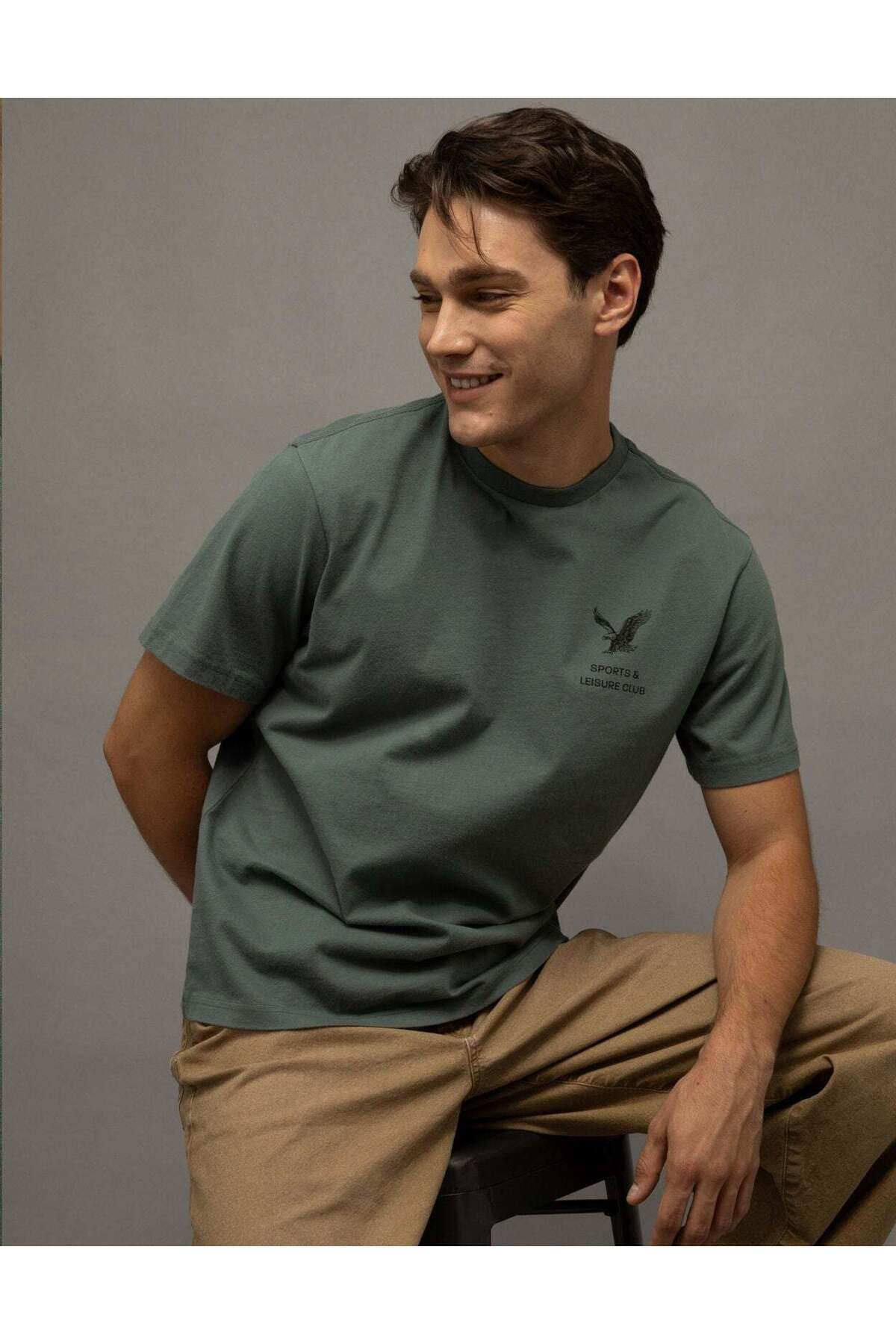 American Eagle AE Standard Fit Graphic T-Shirt