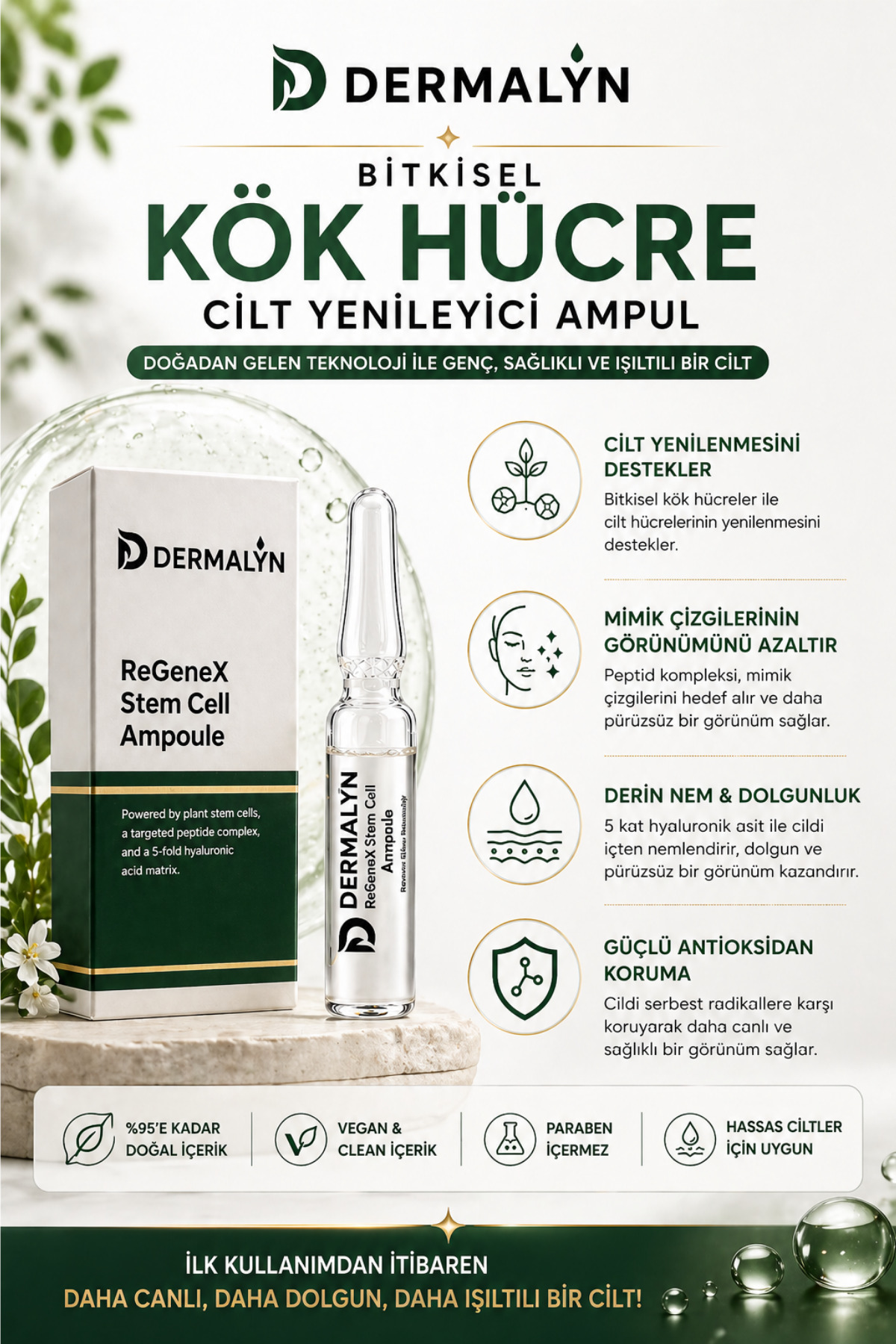 1 Adet Bitkisel Kök Hücre Cilt Yenileyici Mimik Kırışıklık Yaşlanma Karşıtı Ampul Serum Dermaroller — REGENEX-1 — تصویر 4 از 7