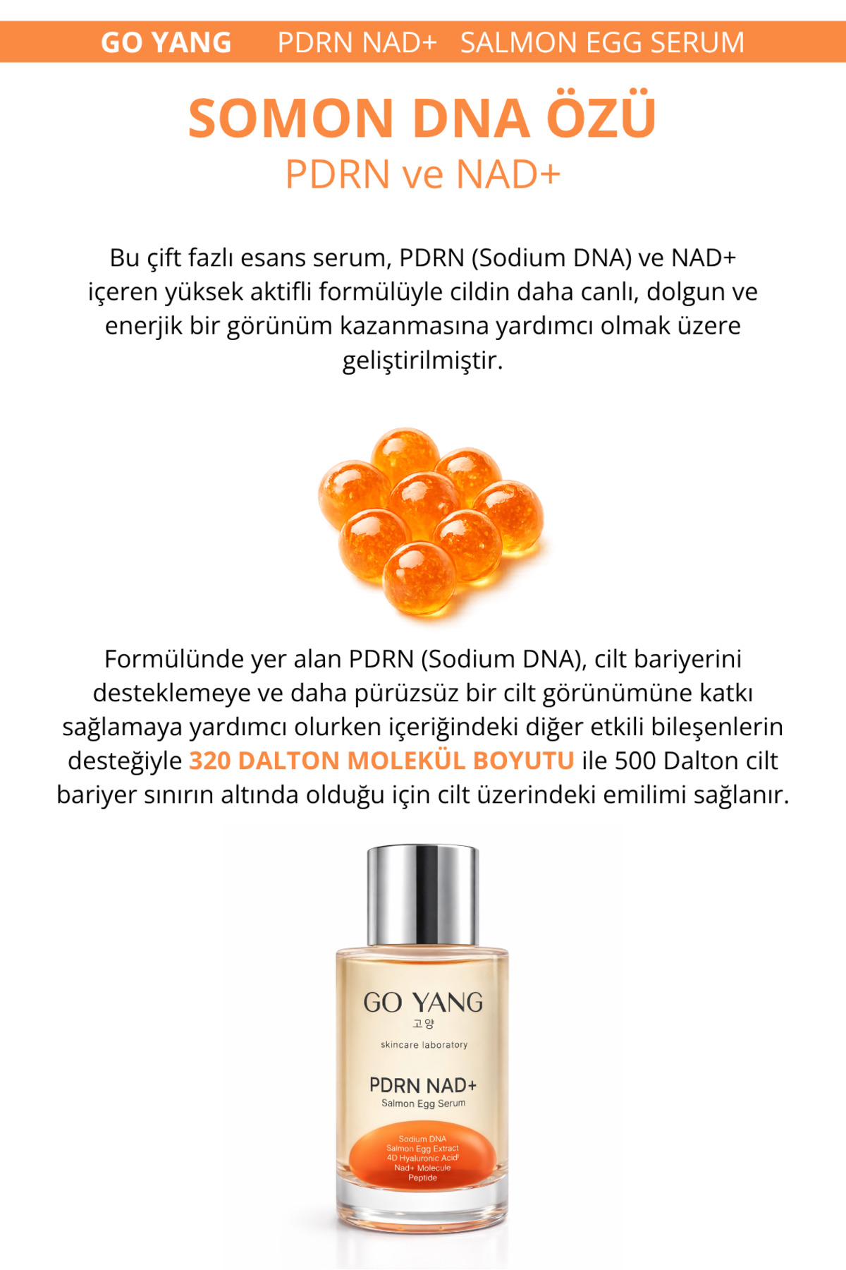 PDRN İçeren Cildi Gençleştirmeye Yardımcı Somon DNA Cilt Serumu 30ml — go-001 — تصویر 4 از 5