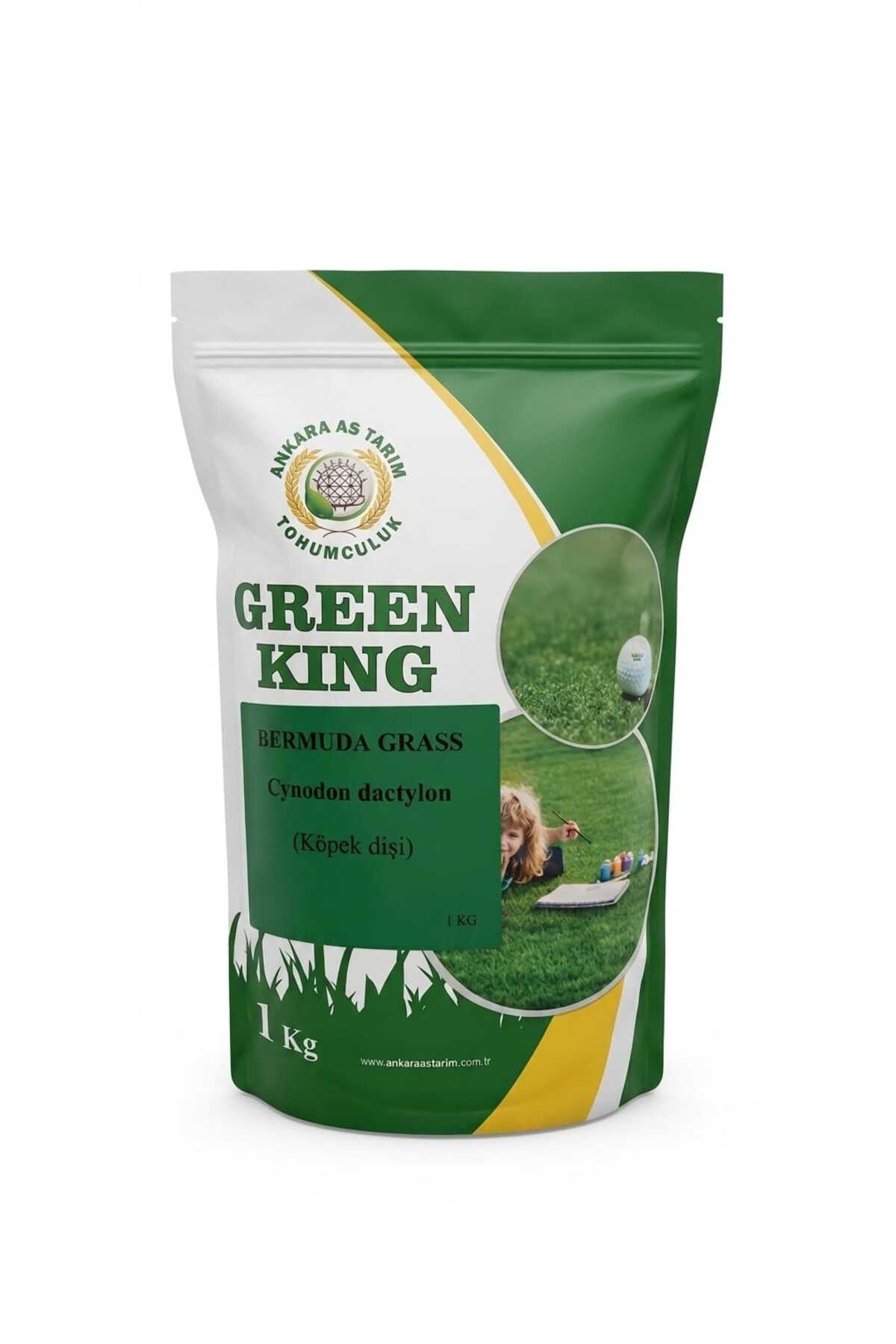 Green Room グリーンルーム Kings キングス 17g 送料無料 GREEN KING BERMUDA GRASS ÇİM TOHUMU 1KG - Fiyatı, Yorumları