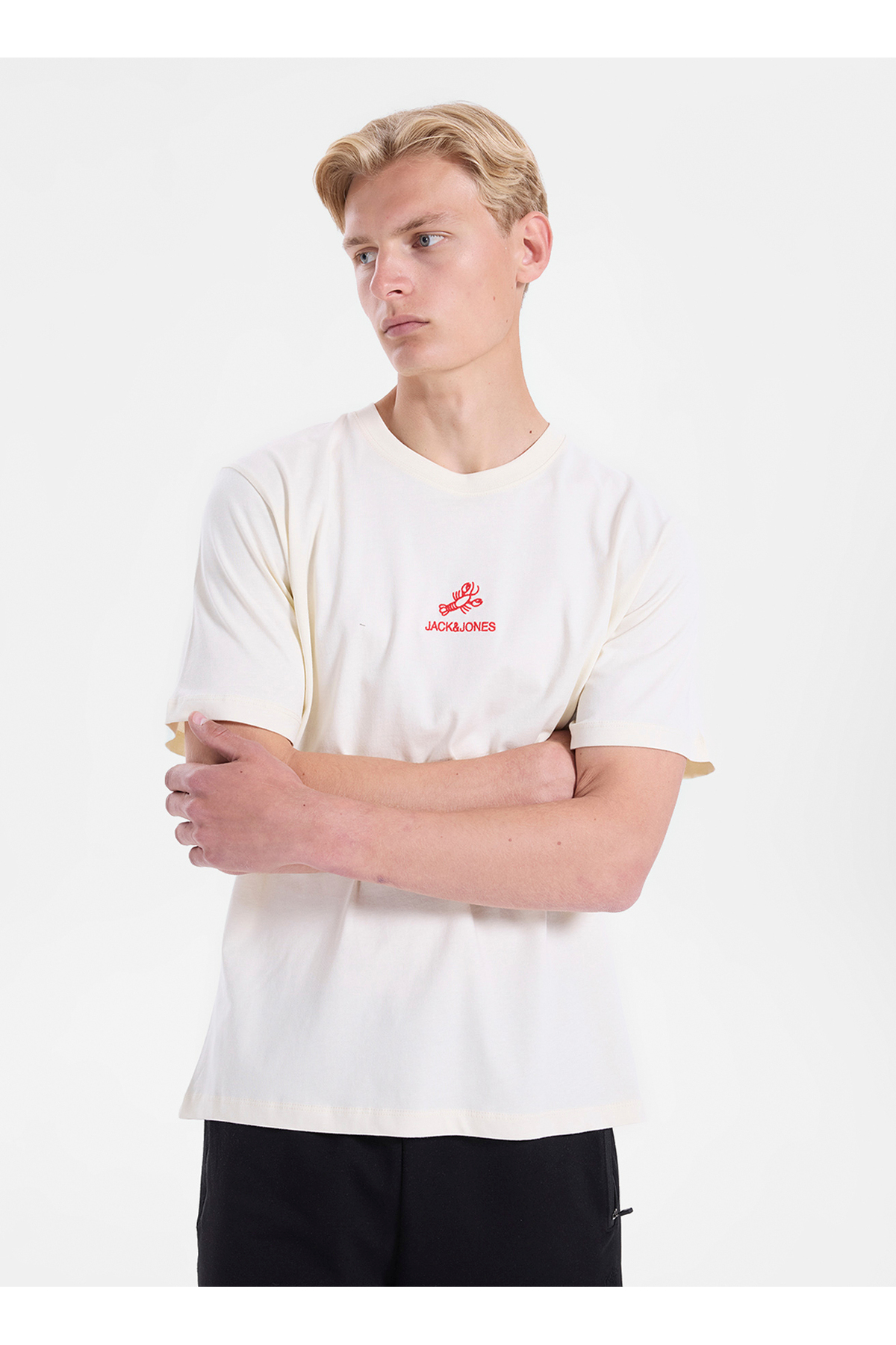 تی شرت مردانه طرح Ecru کد 12307781 JORWILDLIFE TEE CREW BSS26 جک اند جونز تی شرت Jack & Jones