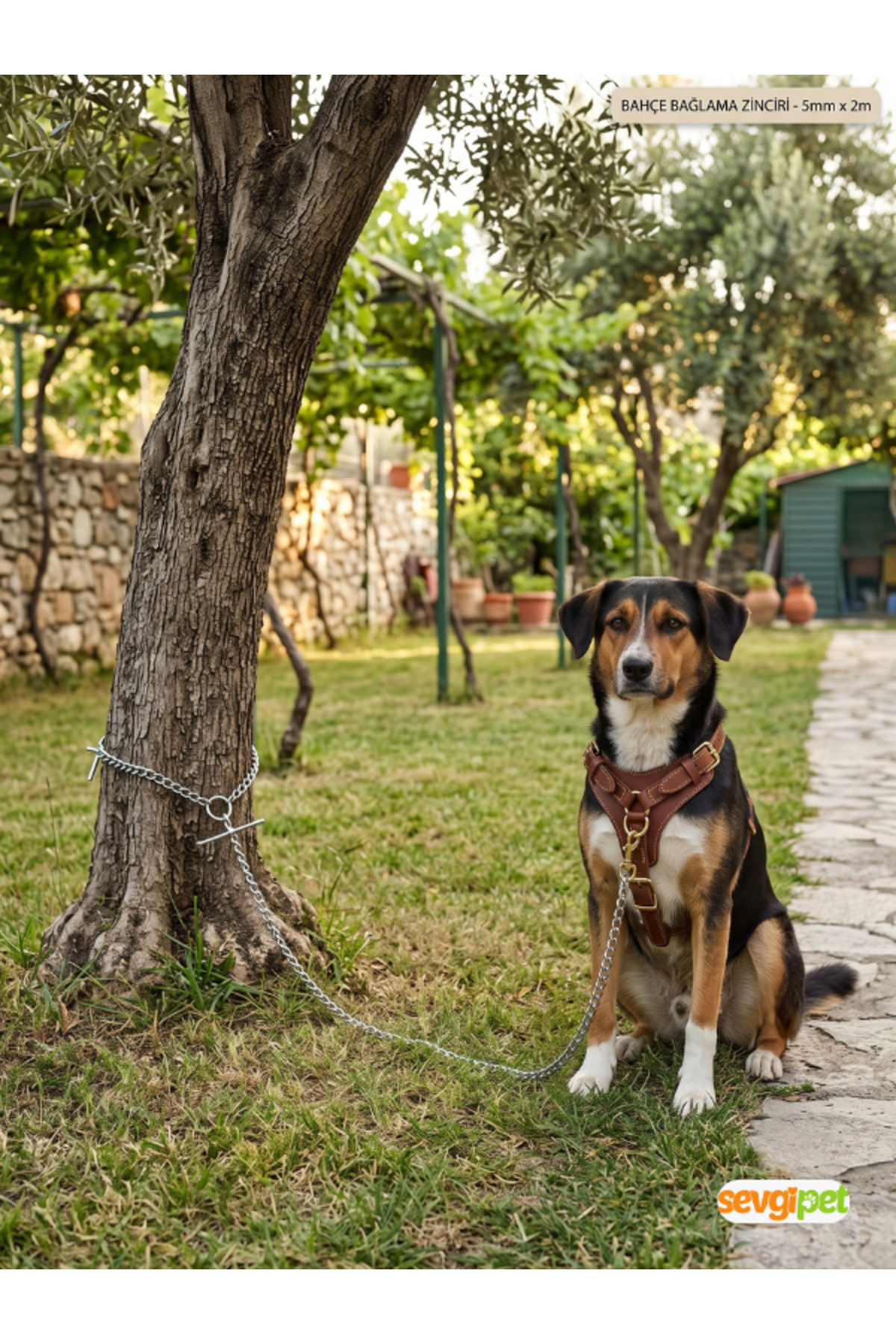 sevgipet SVGPT Dayanıklı Köpek ve Bahçe Bağlama Zinciri 2 MT (5 mm / 200 cm)