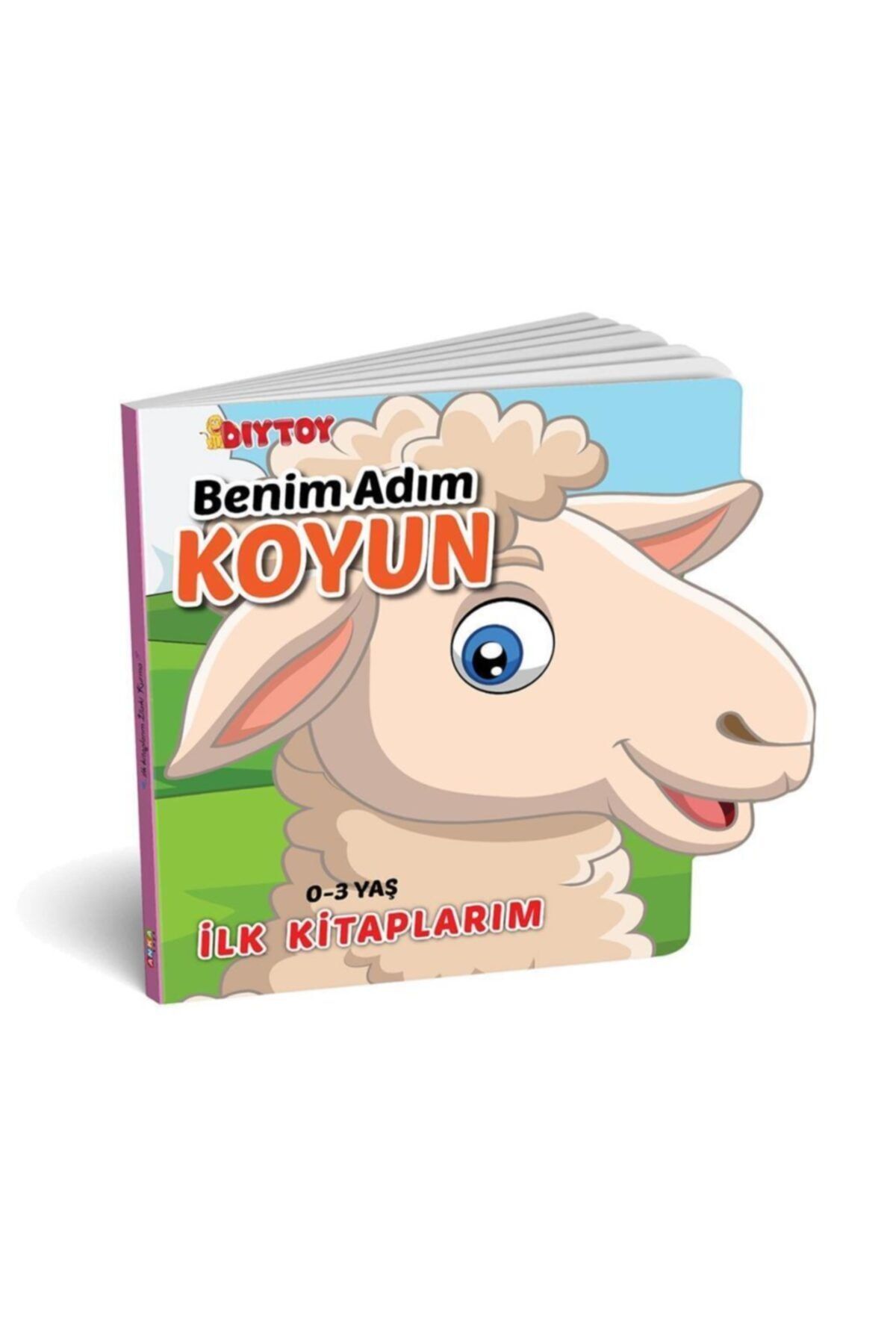 Webinay Home Ilk Hikaye Kitaplarım Hayvanlar Alemi 6'lı Set GB8987
