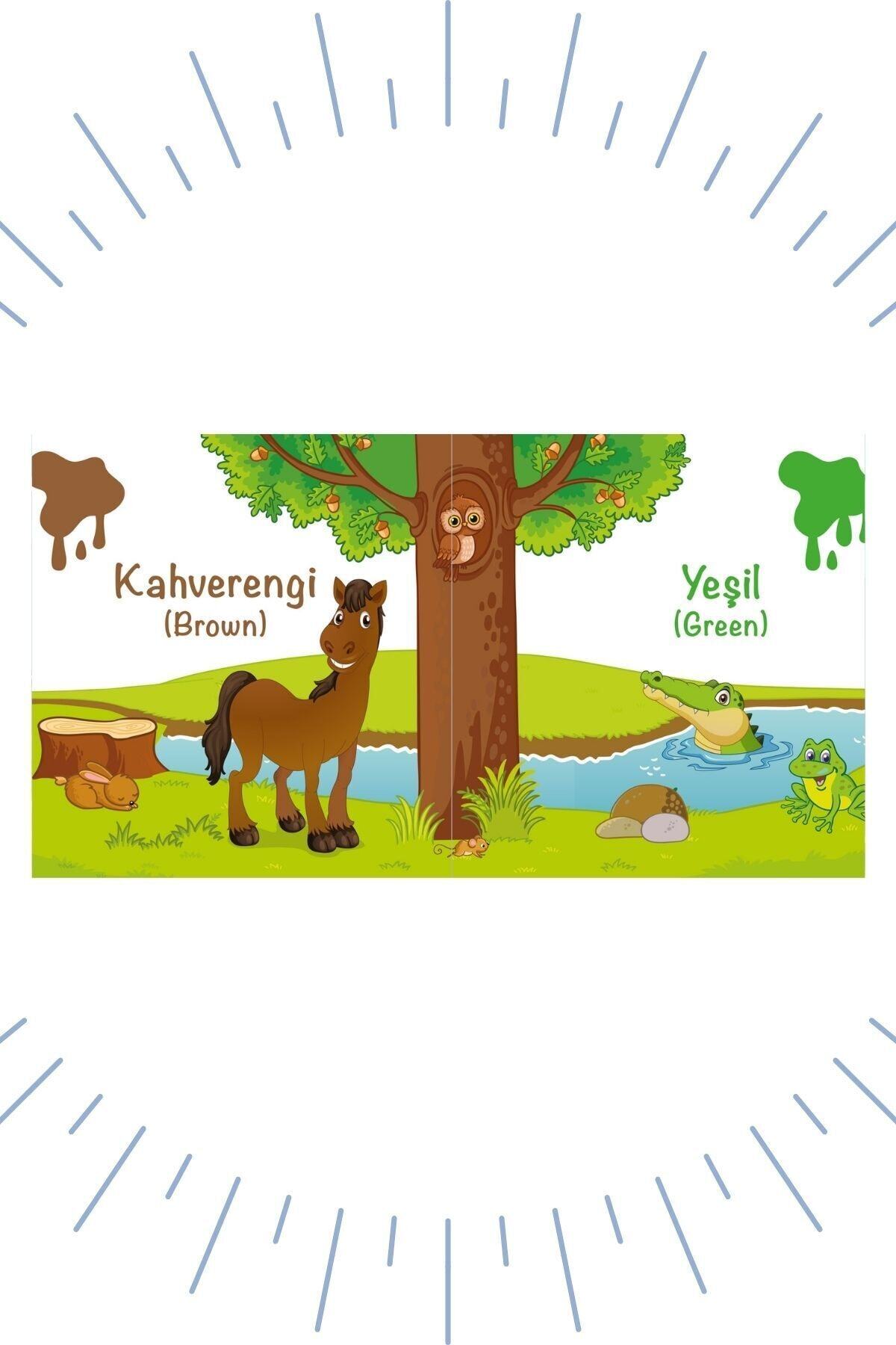 Bonkido "ilk Kitaplığım" Bebek Kitapları 6'lı Set (türkçe - Ingilizce Kelimeler) fotoğrafı 4 (önizleme)