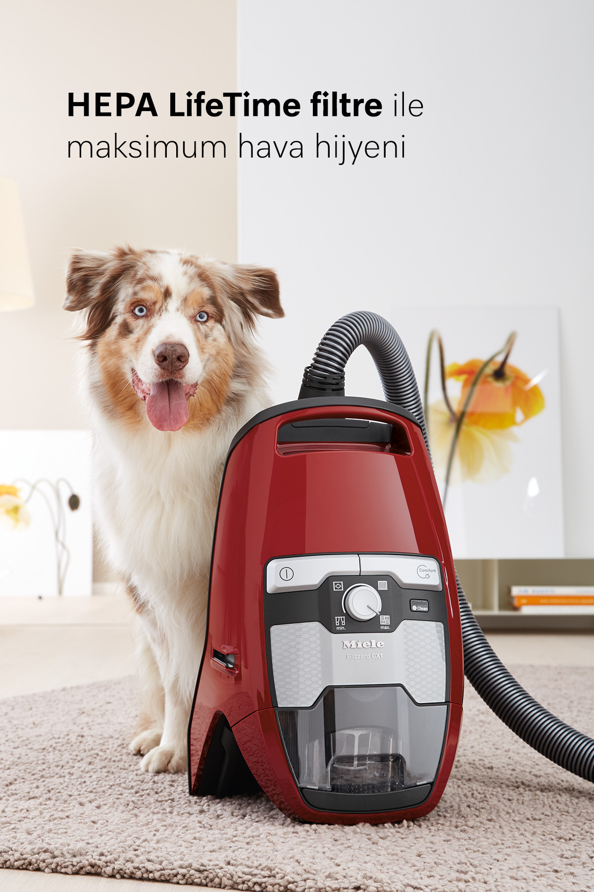 MA① Miele Blizzard CX1 Cat&Dog Mango Kırmızı - Toz Torbasız Süpürge