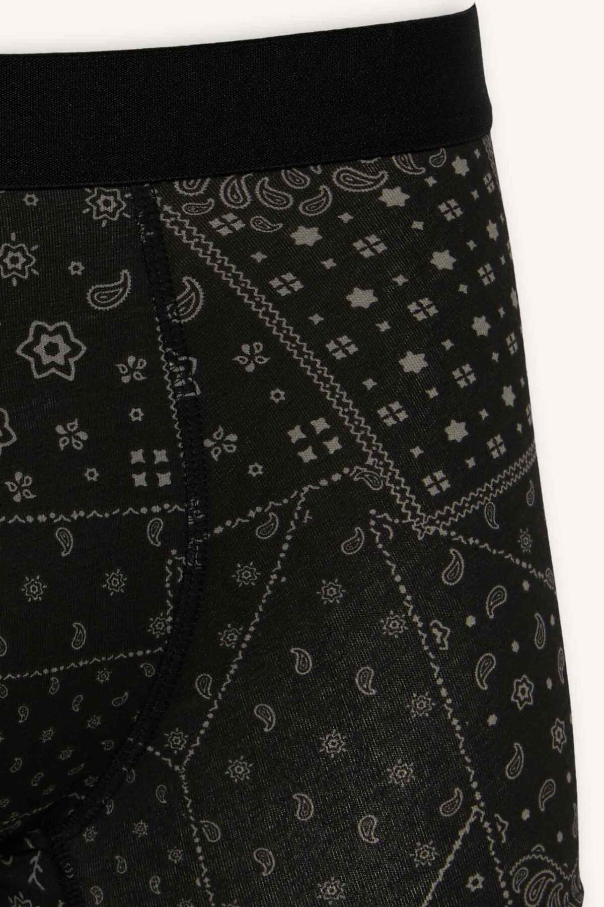 DeFacto Regular Fit Şal Desenli 3'lü Boxer C3883AX24WN görsel 4