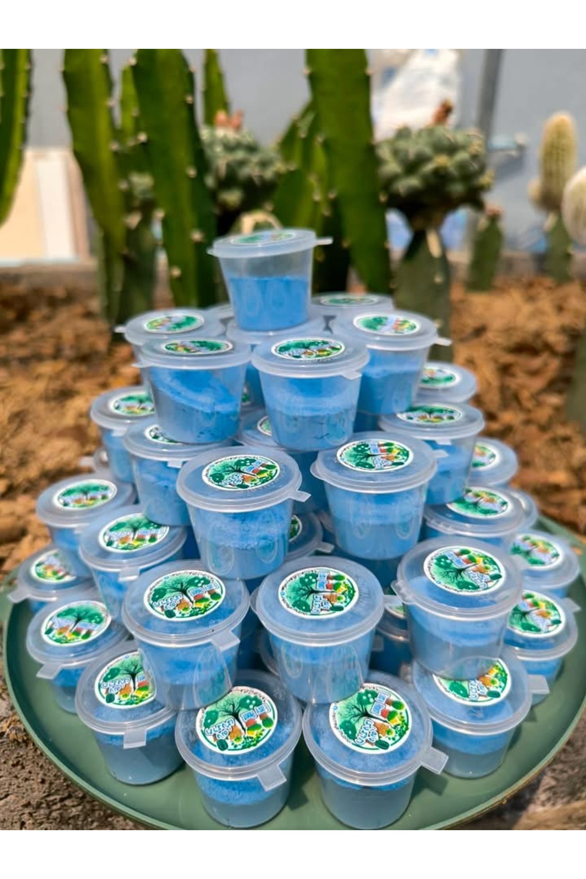 ATLANTE CACTUS Hızlı Köklendirici Mavi Toz - Özel Formül