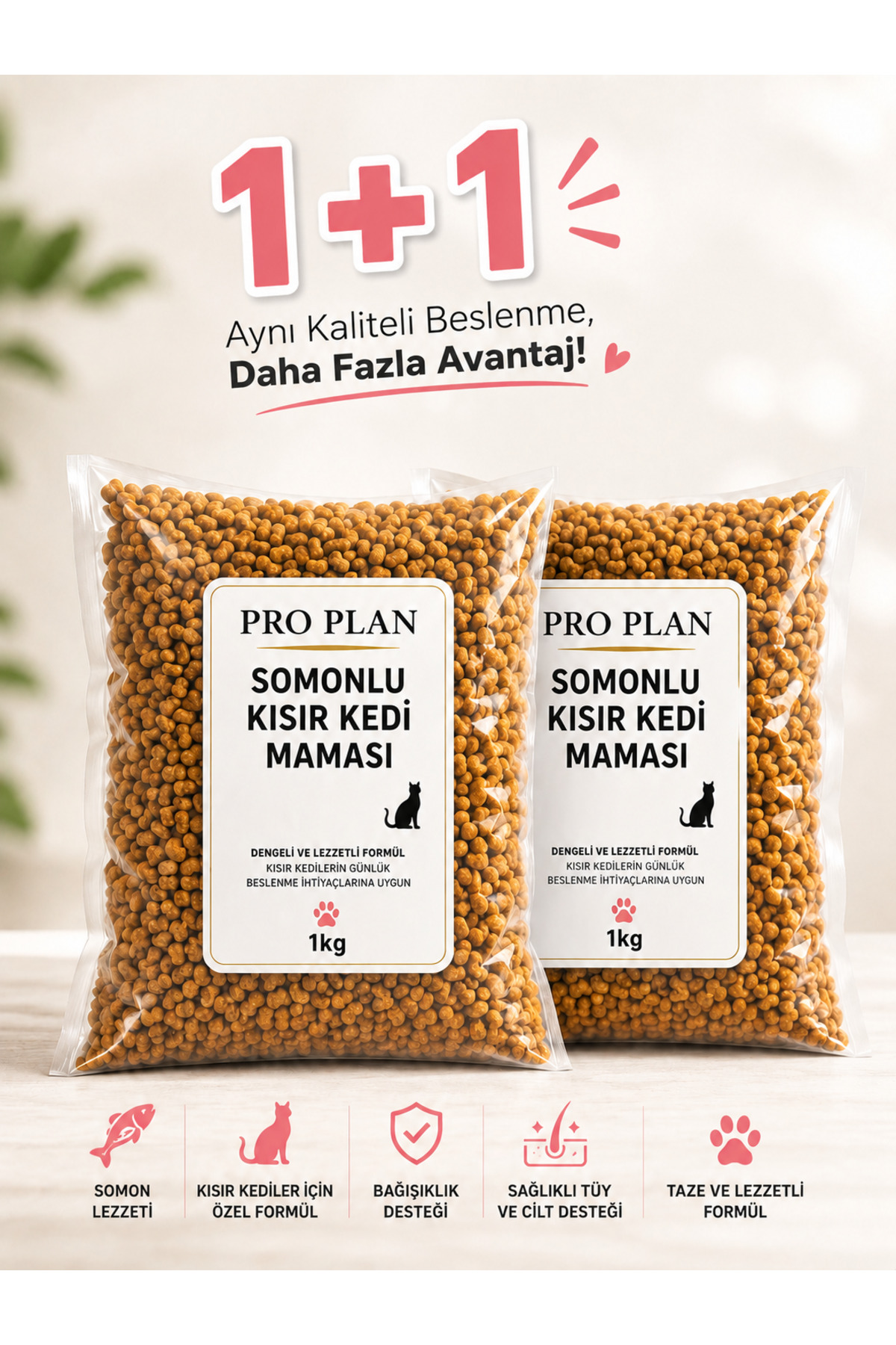 Pro Plan ProPlan Somonlu Kısırlaştırılmış Kedi Maması 2 Kg