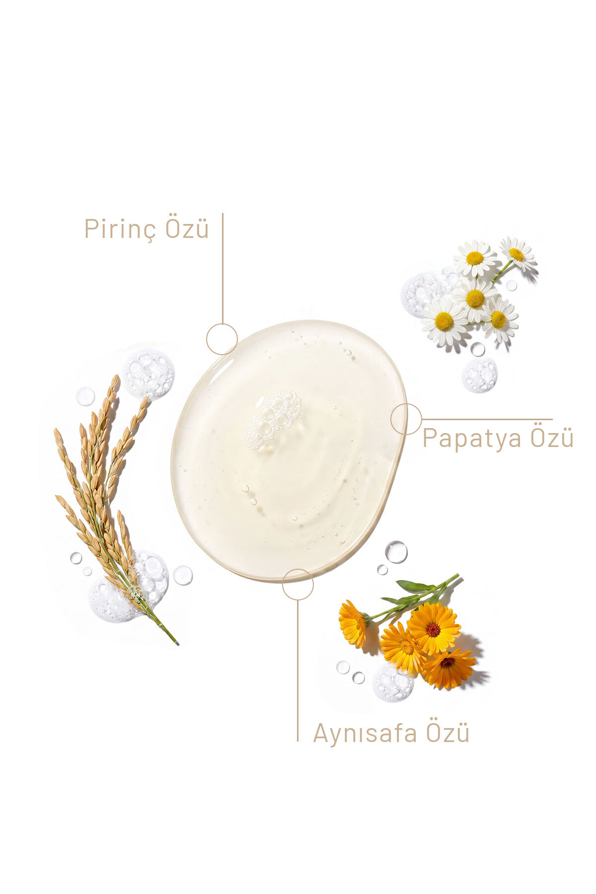 Pirinç Özlü Yüz Yıkama Köpüğü - 150 Ml — 0001 — تصویر 3 از 4