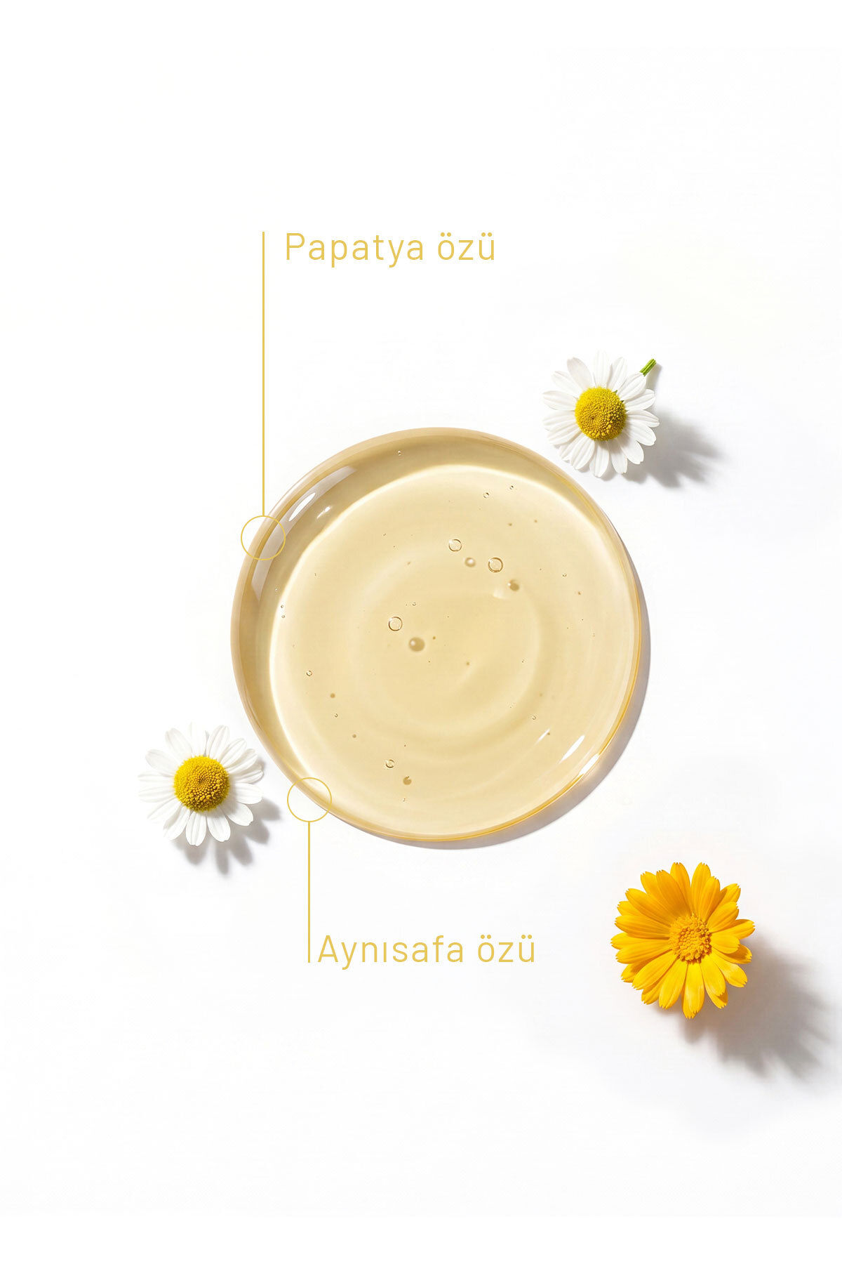 Papatya Özlü Kuru ve Hassas Ciltler İçin Yüz Yıkama Jeli 250 ml — CB2201 — تصویر 2 از 3