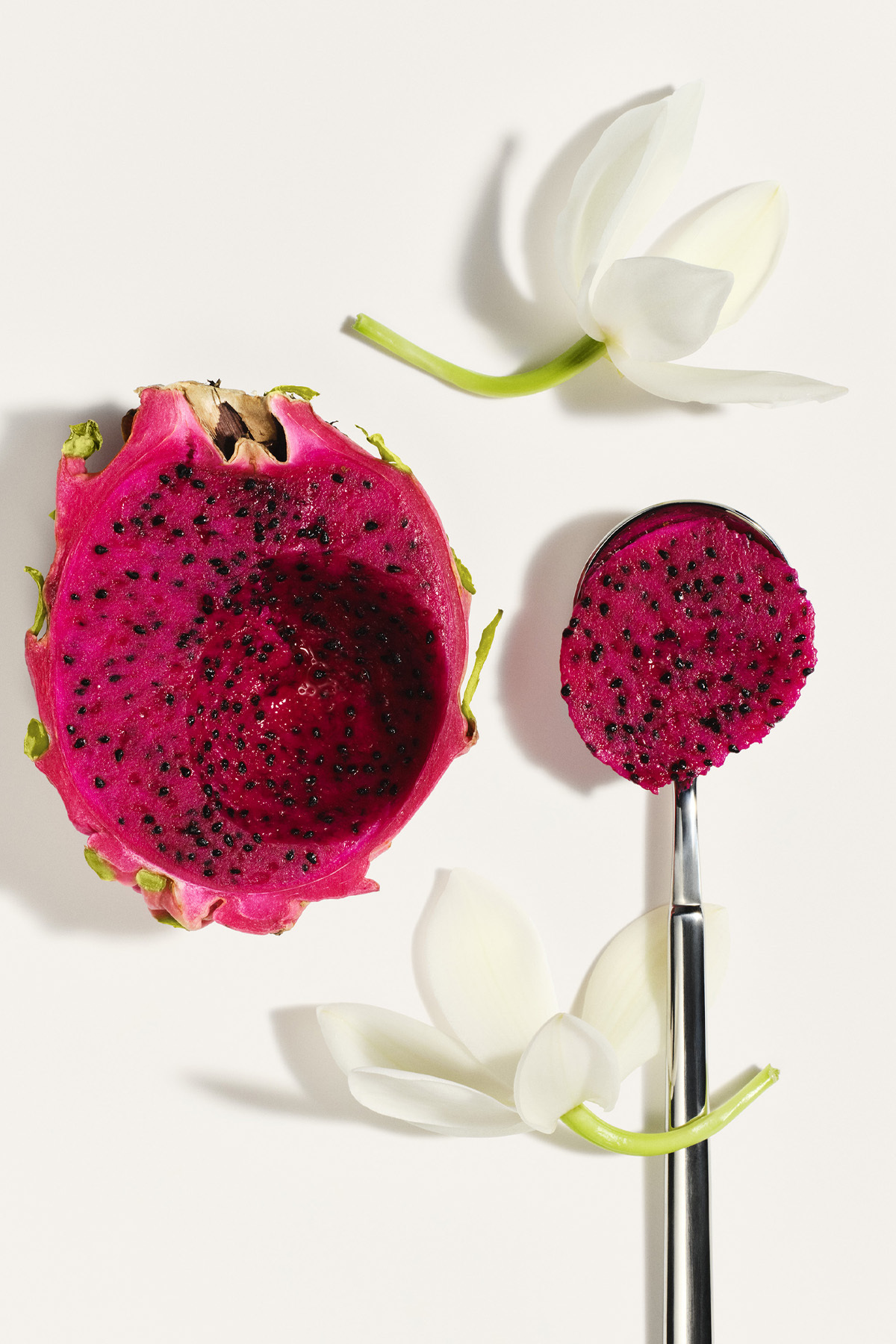کرم بدن ضد پیری Beija Flor Elasti 75 میلی لیتر — 810912032224 — تصویر 6 از 7