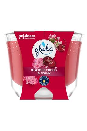 Glade Büyük Mum Meyve Çiçek Buketi Kokulu Mum, Tek Fitilli, 204 g, Esansiyel ...