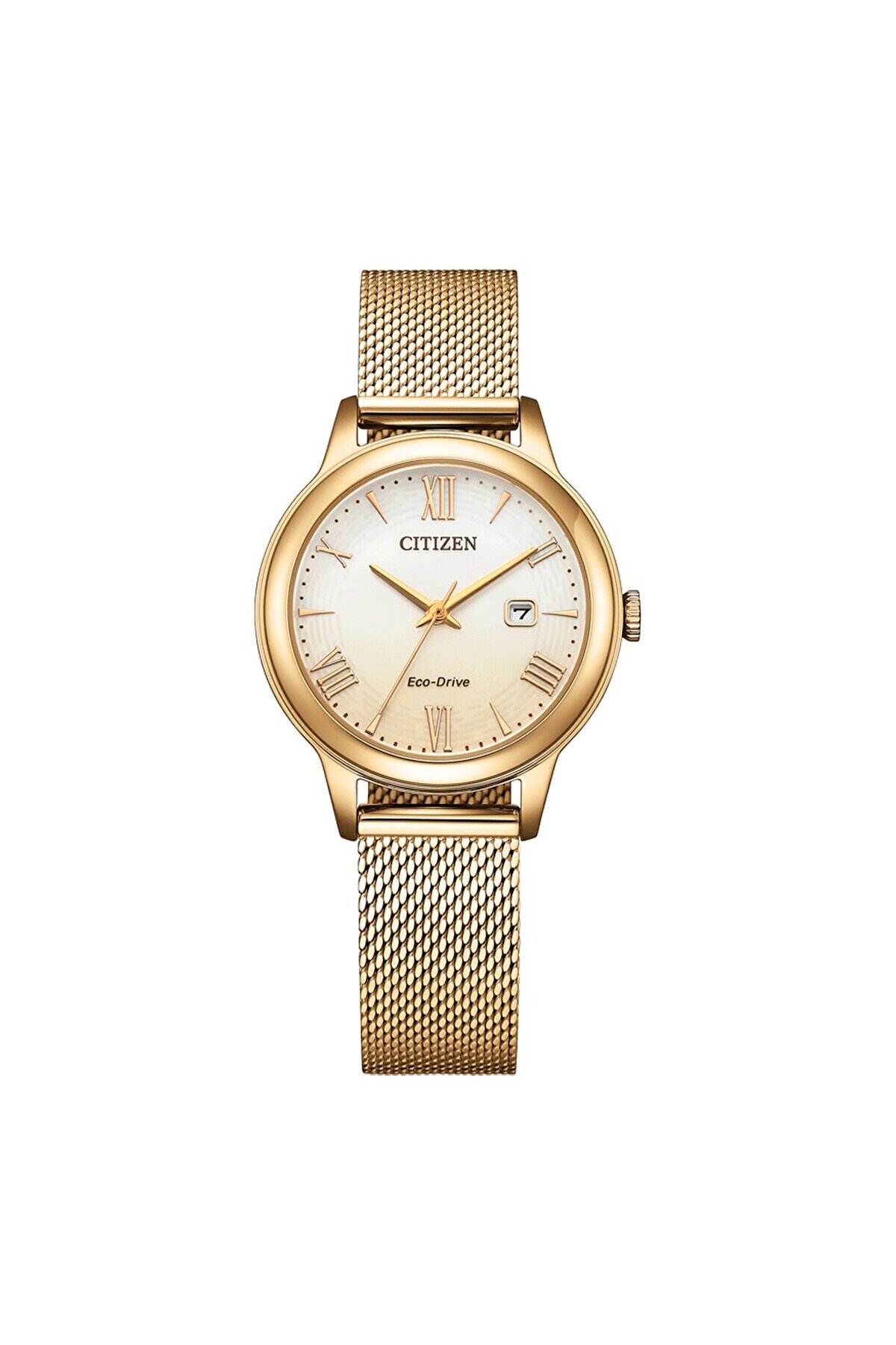 Rose Gold Citizen Saat Fiyatları Trendyol