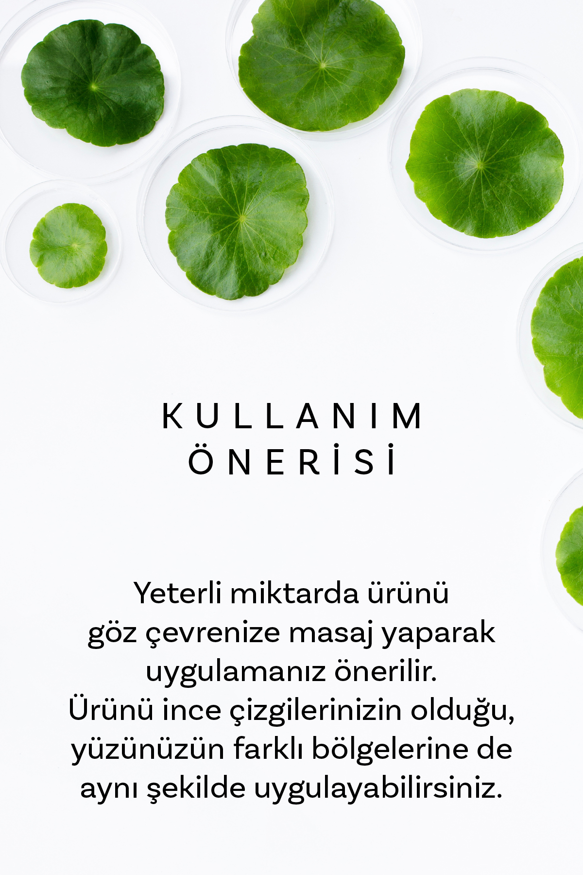 CICAXMIDE Göz Çevresi Kremi 40 gr ve Dermal 3 Katmanlı Rose Gold Göz Maskesi 4 gr — DERMALGÖZKREMİROSEMASKESET-A — تصویر 5 از 8