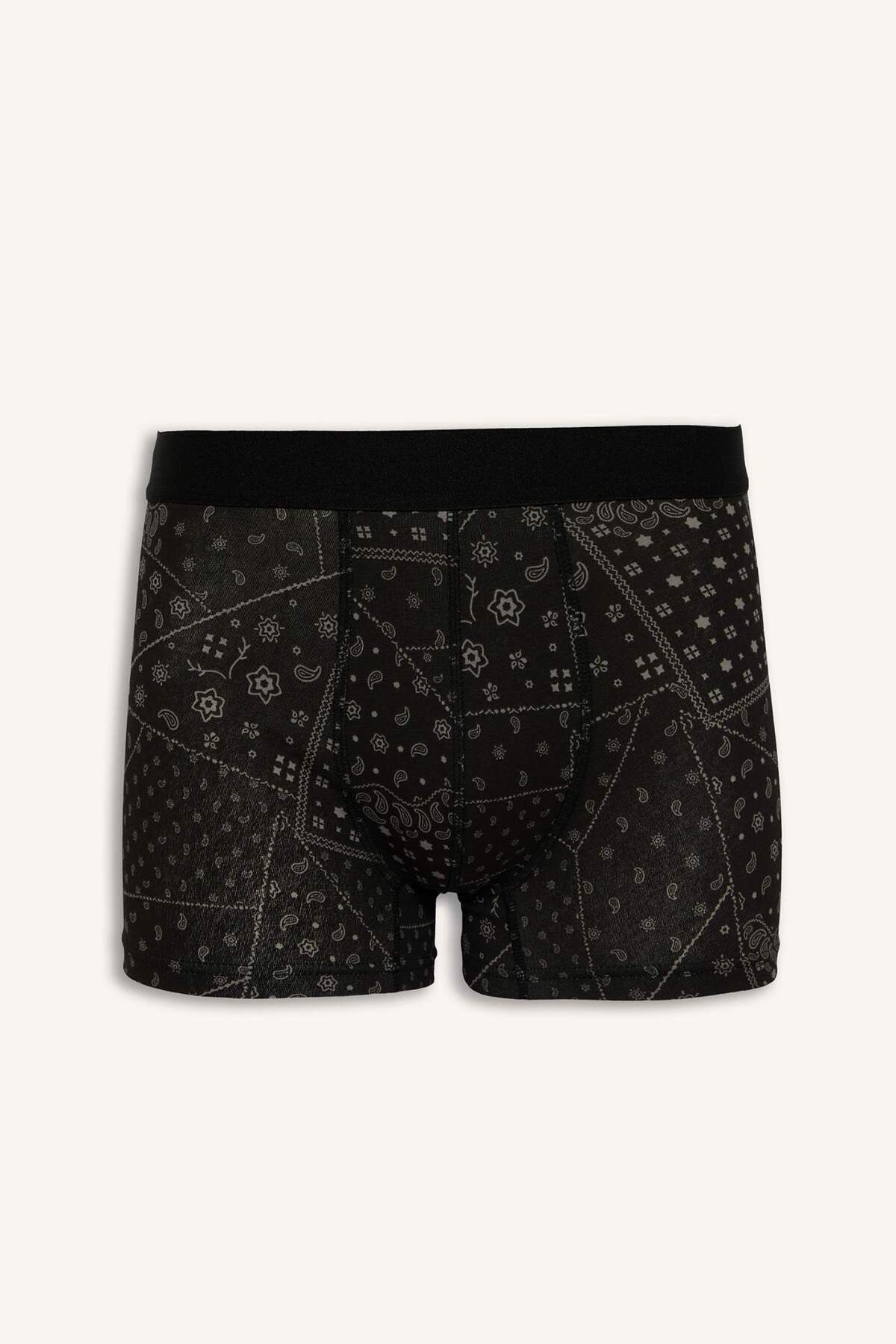 DeFacto Regular Fit Şal Desenli 3'lü Boxer C3883AX24WN görsel 2
