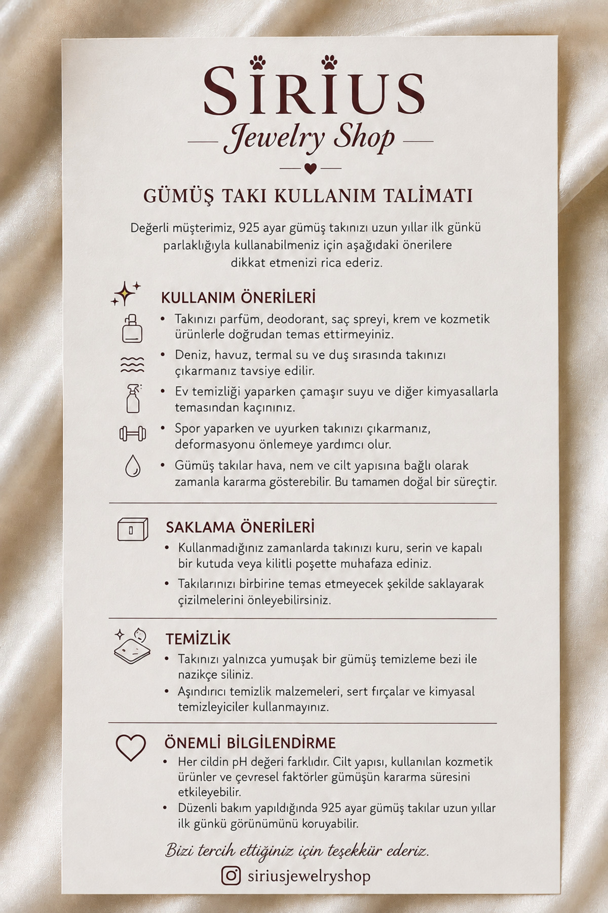 sirius jewelry 925 Gümüş | Işıltılı Doğum Taşlı Harf Kolye görsel 6