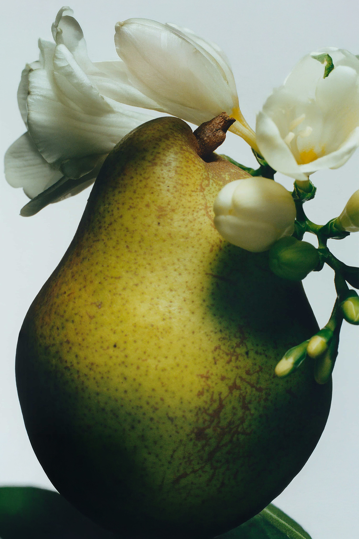 English Pear & Freesia El Kremi 30ml — 131194 — تصویر 2 از 3
