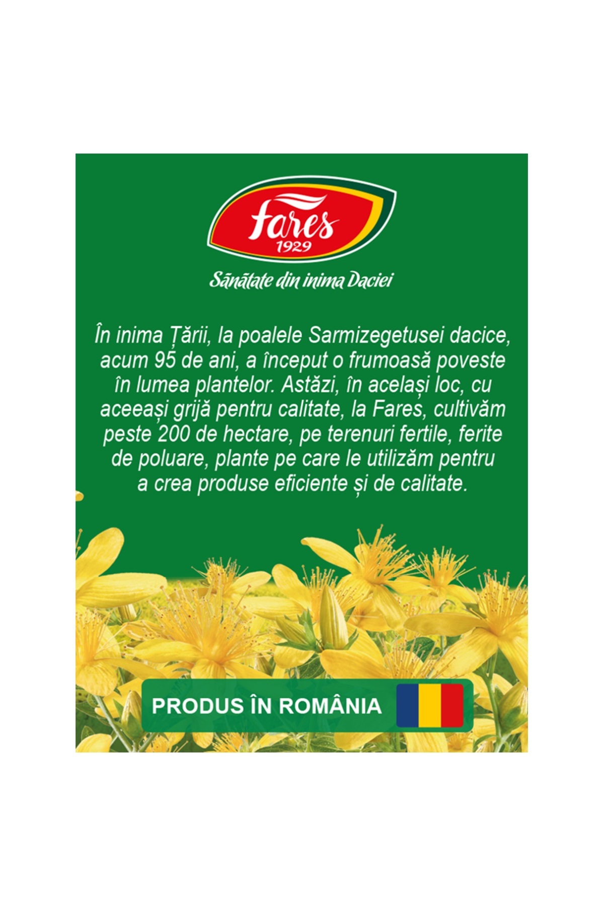 l carnitina hofigal forum Alevia Single-Serve Tea Bags Models & Prices Hand & Body Lotion Months:3 Month Blood Orange