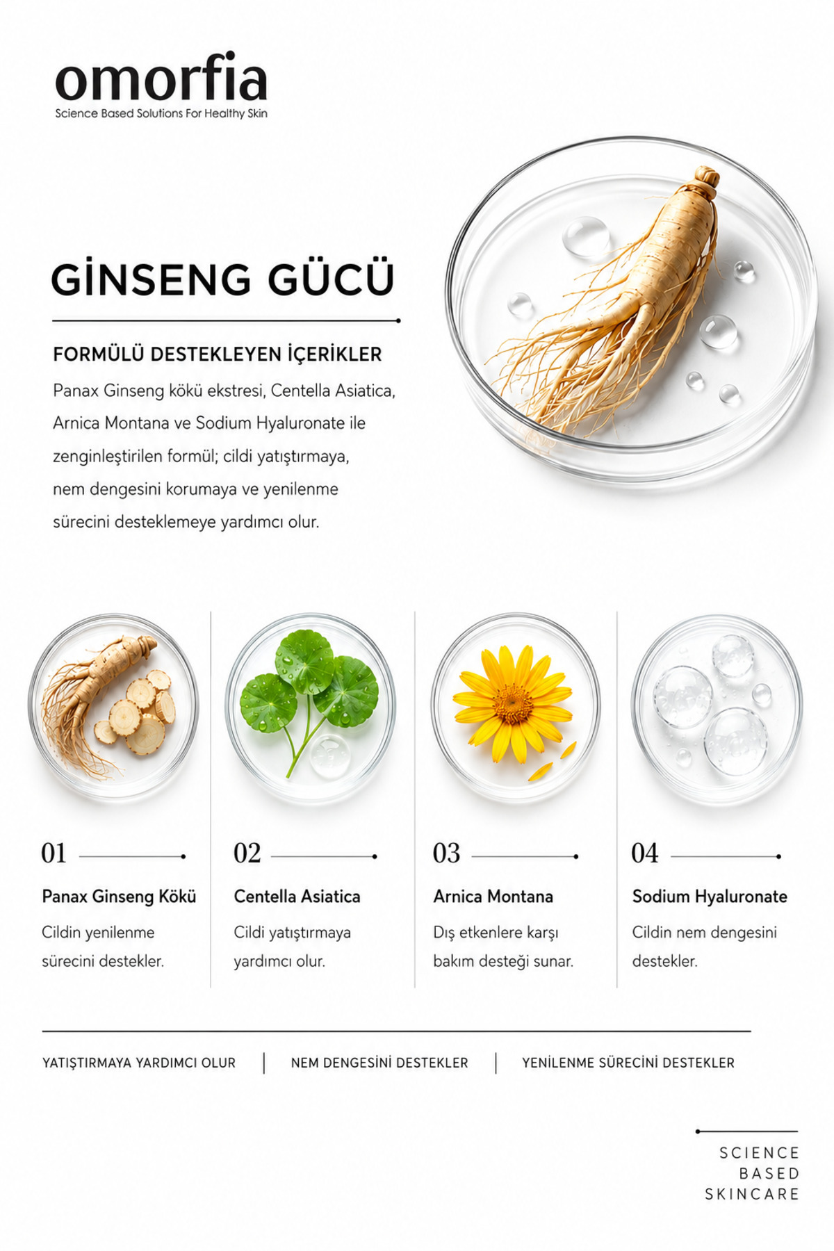 Kırmızı Kore Ginseng Özlü Anında Ölü Derilerden Arındıran, Yenileyici Aydınlatıcı Peeling 100 ml — 8683498414294 — تصویر 6 از 9