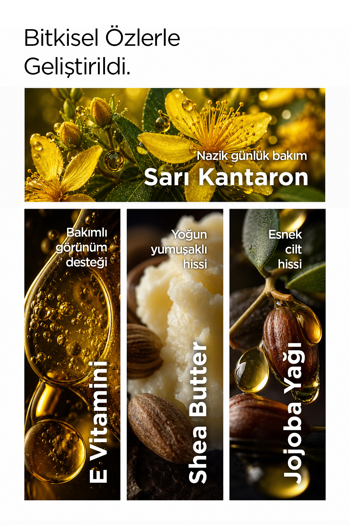 Sarı Kantaron Özlü Body Milk Bitkisel Nemlendirici Vücut Losyonu ve Sütü 250 ml — OCSK001 — تصویر 3 از 6
