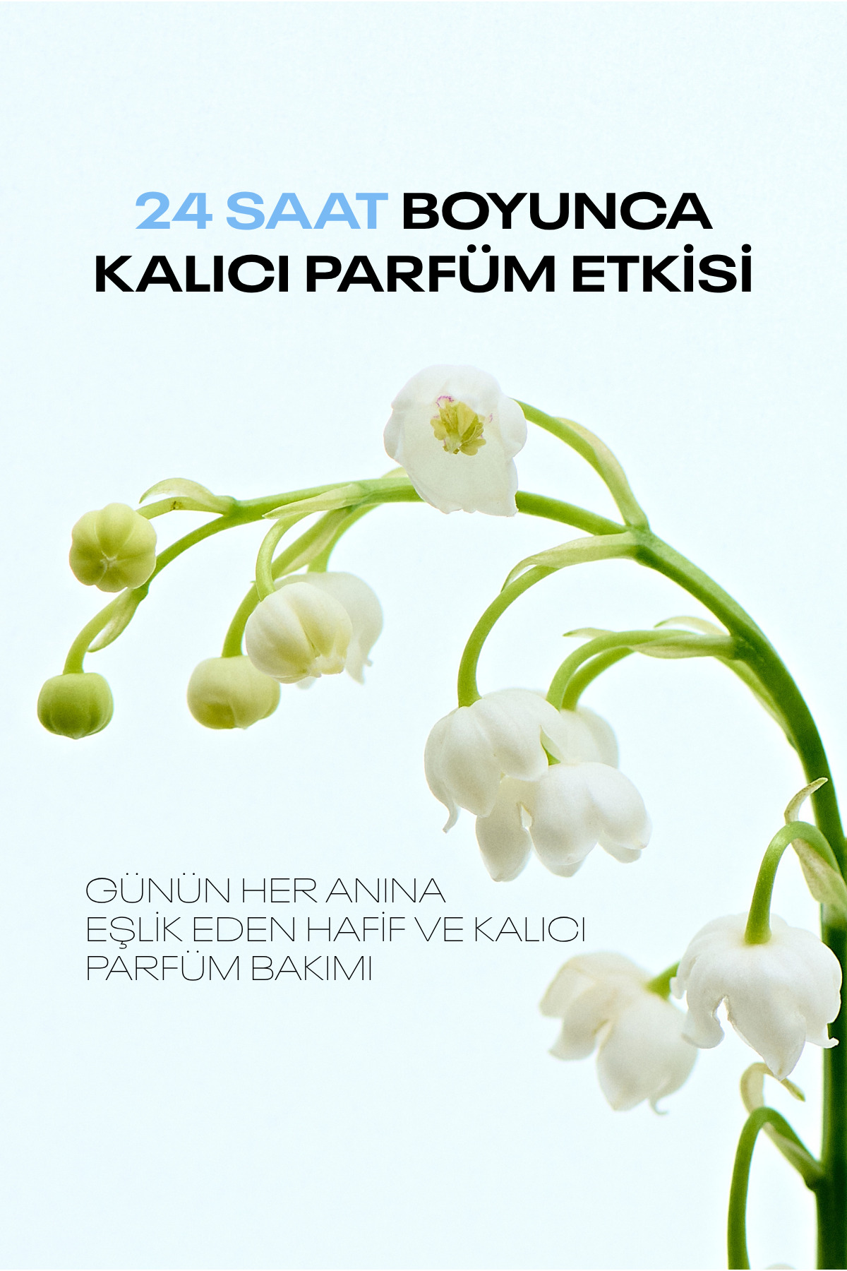 روغن موی معطر Angel Muguet — 8809982982562 — تصویر 3 از 8