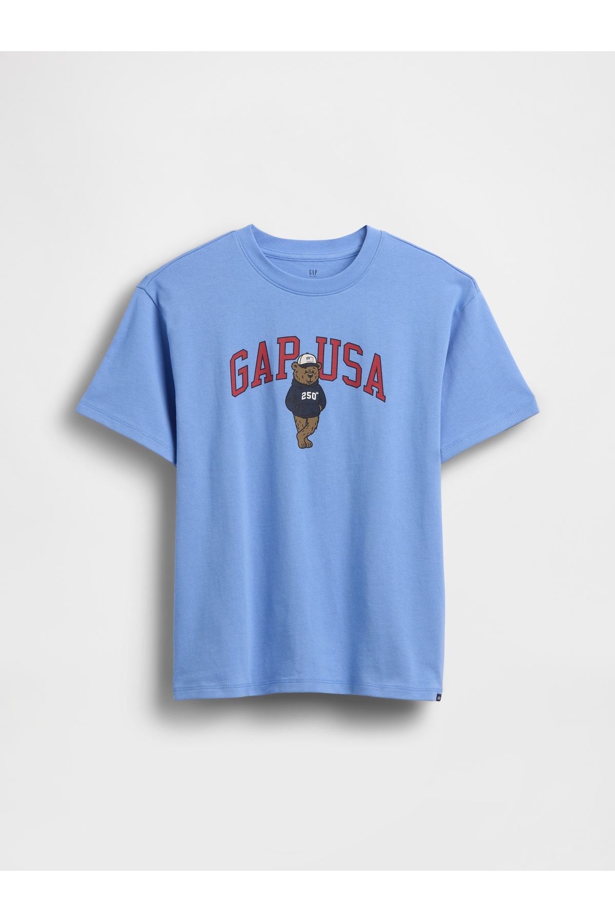 GAP Erkek Çocuk Mavi USA Logo T-Shirt - Fiyatı