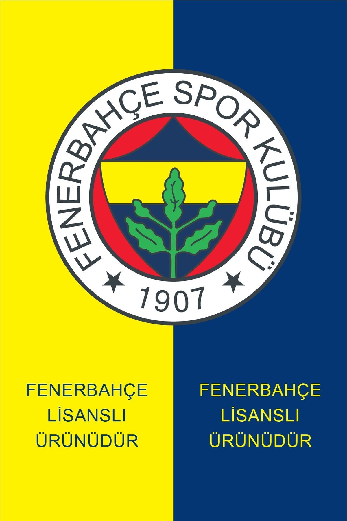 Fenerbahçe UNISEX GOLD DOKUMA ATKI görsel 4