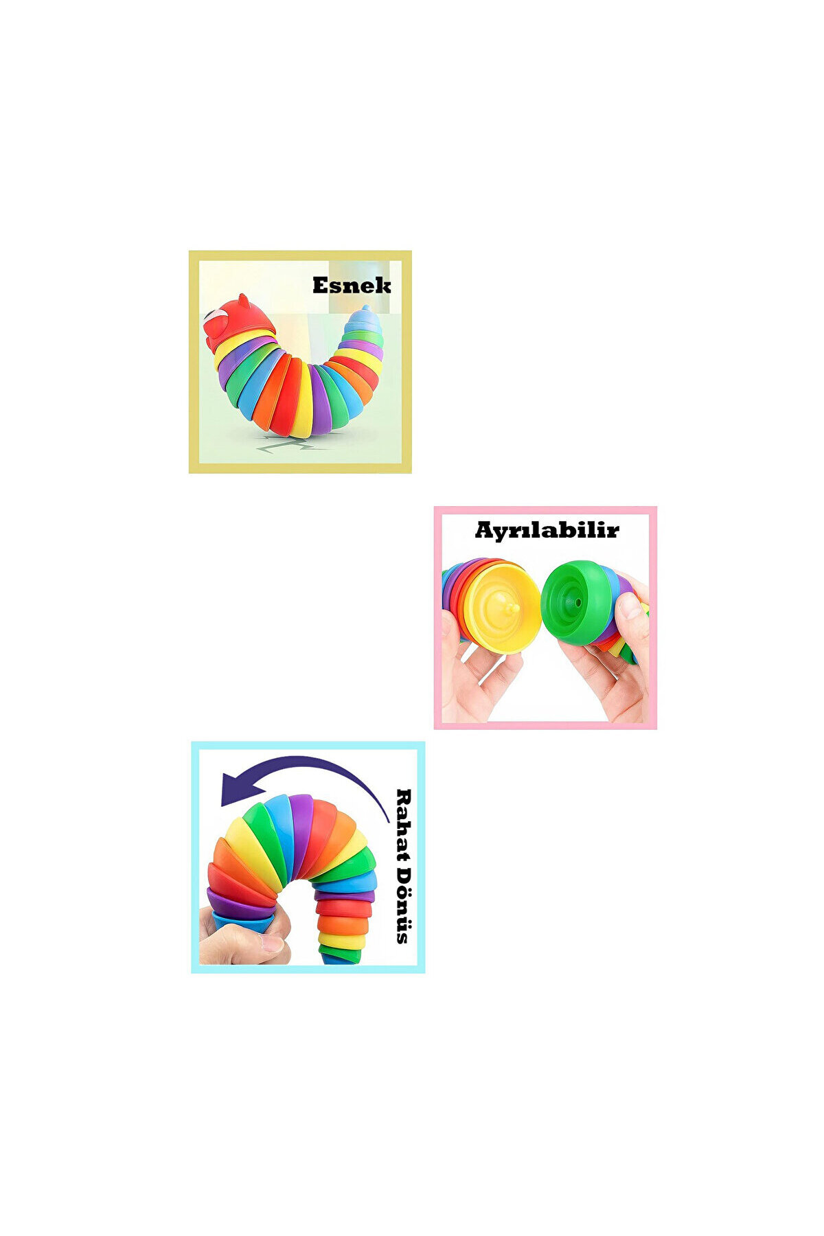 کرم آموزشی دوست‌داشتنی