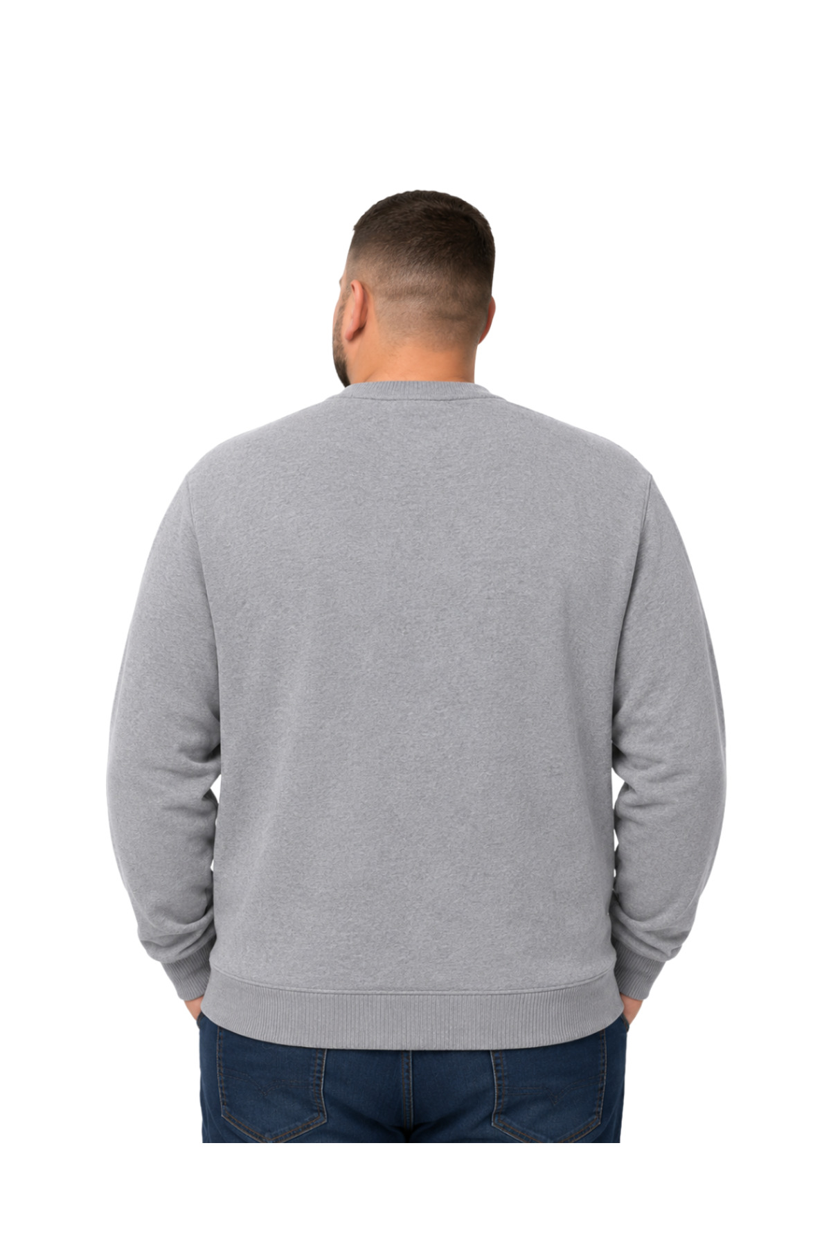 BattalModa Erkek Büyük Beden Gri Bisiklet Yaka Motif Triko Kazak 3XL-4XL-5XL-6XL görsel 3
