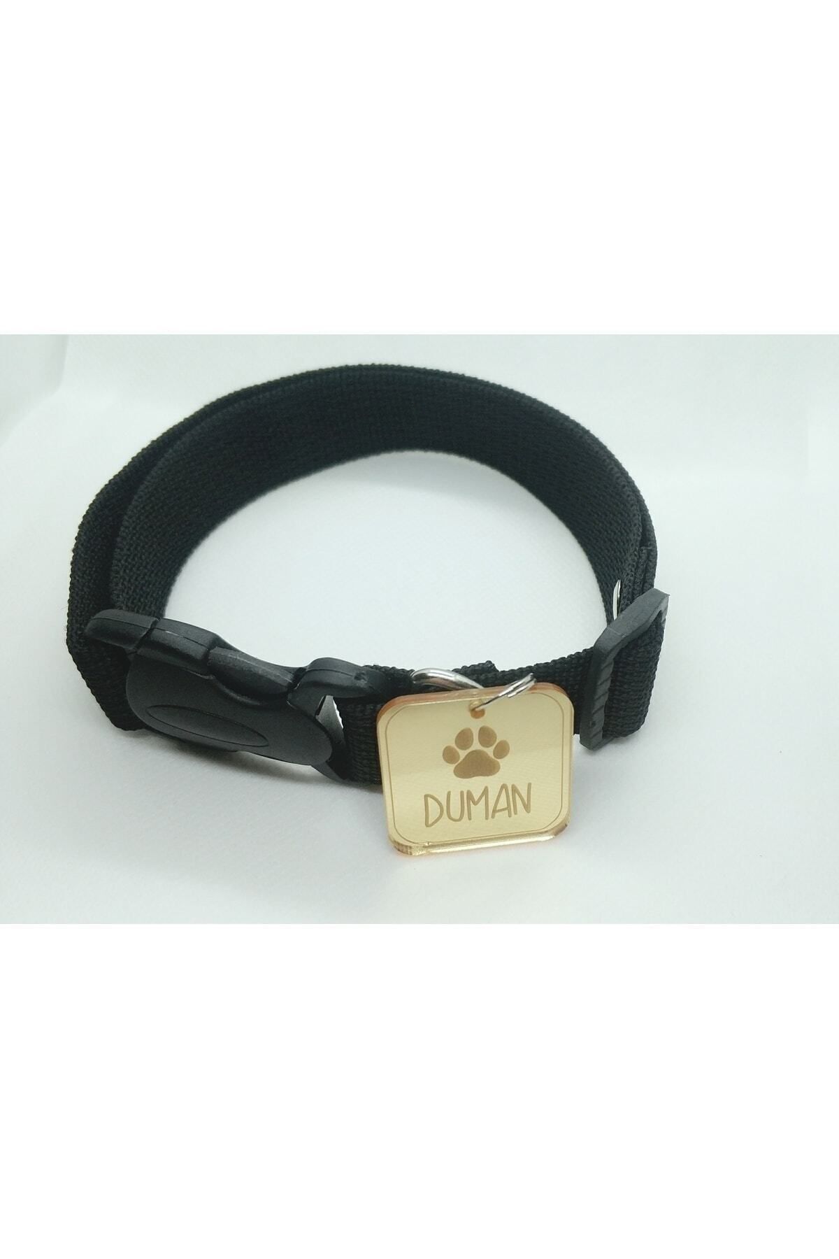 hebmeyy Gold Isimlik Künyeli Köpek Tasması, Yavru Köpek, Mini Ve Orta Irk Köpek Tasması, Künye Isimlik Tasma