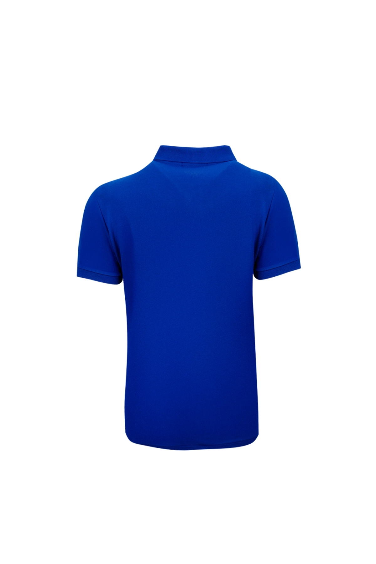 پولوشرت مردانه یقه پلو | پولو رالف لورن Polo Ralph Lauren 710675974112 VN - تصویر 2