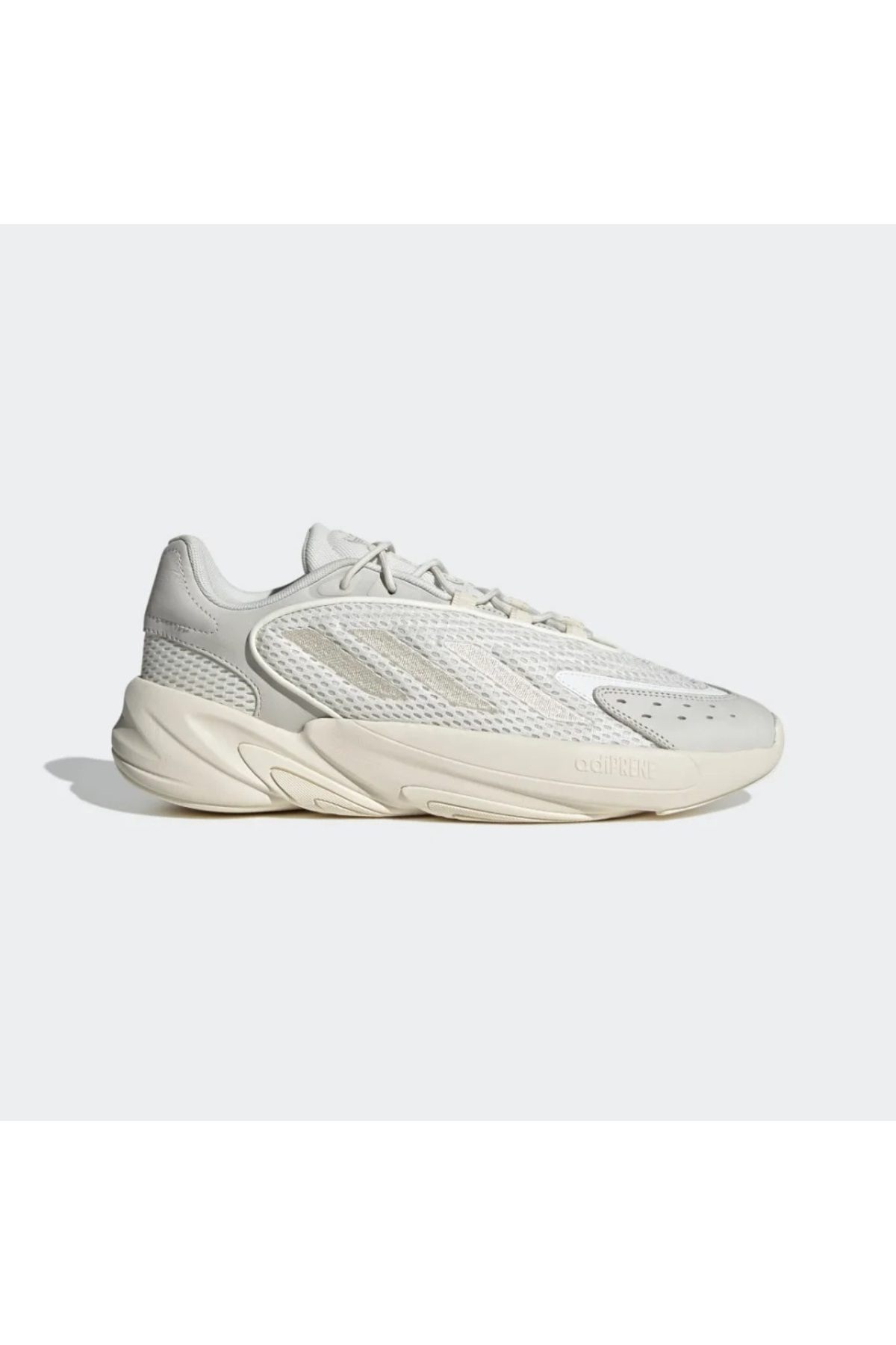 1_org_zoom.jpg