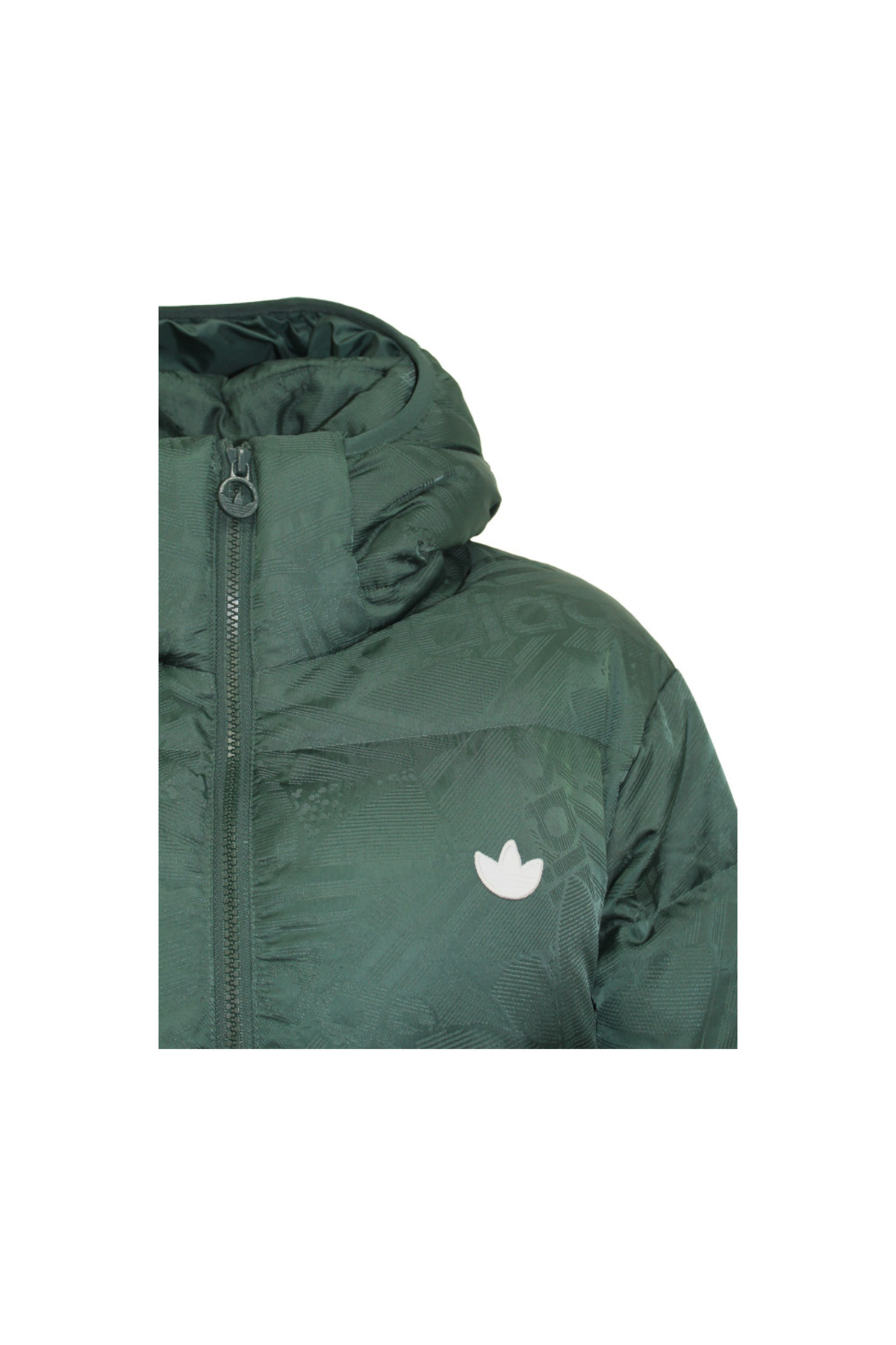کت سبز مردانه Regen Rekive HL9219 — سبز — تصویر 6 از 8