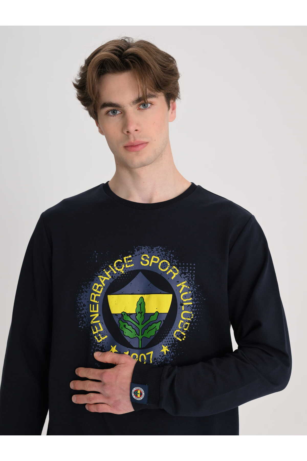 Fenerbahçe Sarı Lacivert Tribün Tramlı Logo Erkek Sweatshirt görsel 4