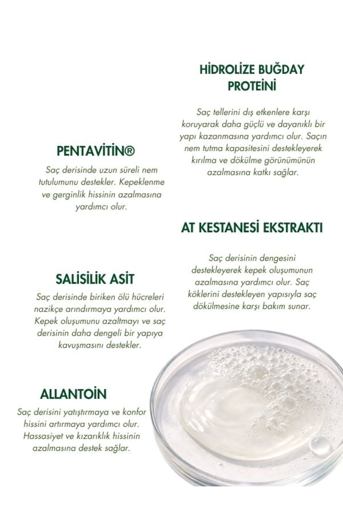 Lab Verde Kepek Önleyici, Saç Dökülme Karşıtı ve Sebum Dengeleyici Şampuan Serum Seti — SSET1 — تصویر 5 از 9