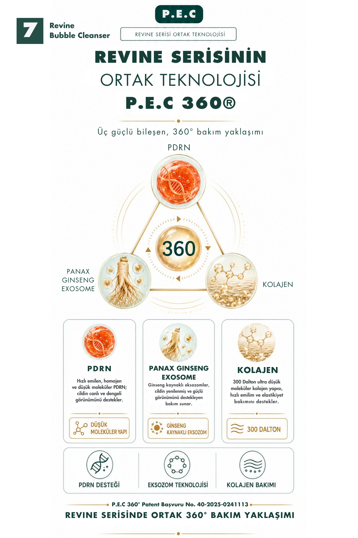 PDRN & Seramid İçeren Yüz Temizleme Köpüğü 150 ml | P.E.C 360 Revine Bubble Cleanser — Dr.Richesse001 — تصویر 8 از 8