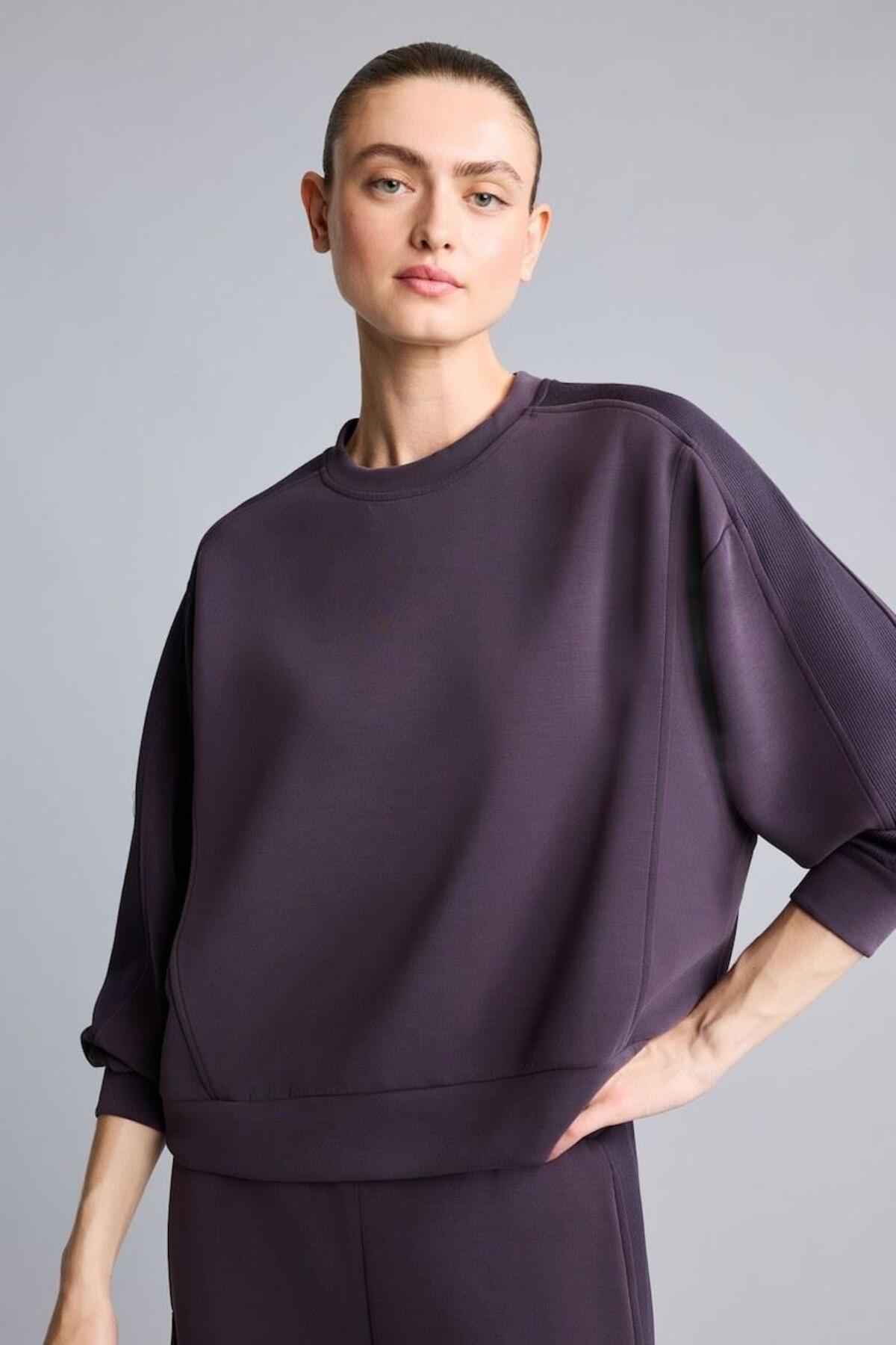 DeFacto Ultra Yumuşak Oversize Bisiklet Yaka Dikiş Detaylı Modal Sporcu Basic Sweatshirt H4536AX26AU görsel 3