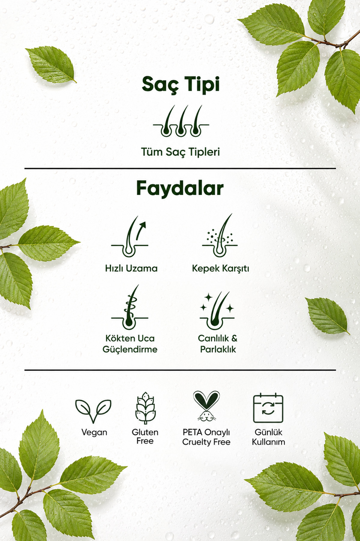Kayın Ağacı Güçlendirici ve Canlandırıcı Saç Toniği – Hızlı Uzama ve Kepek Karşıtı Bakım (125 ml X2) — 120907 — تصویر 3 از 6